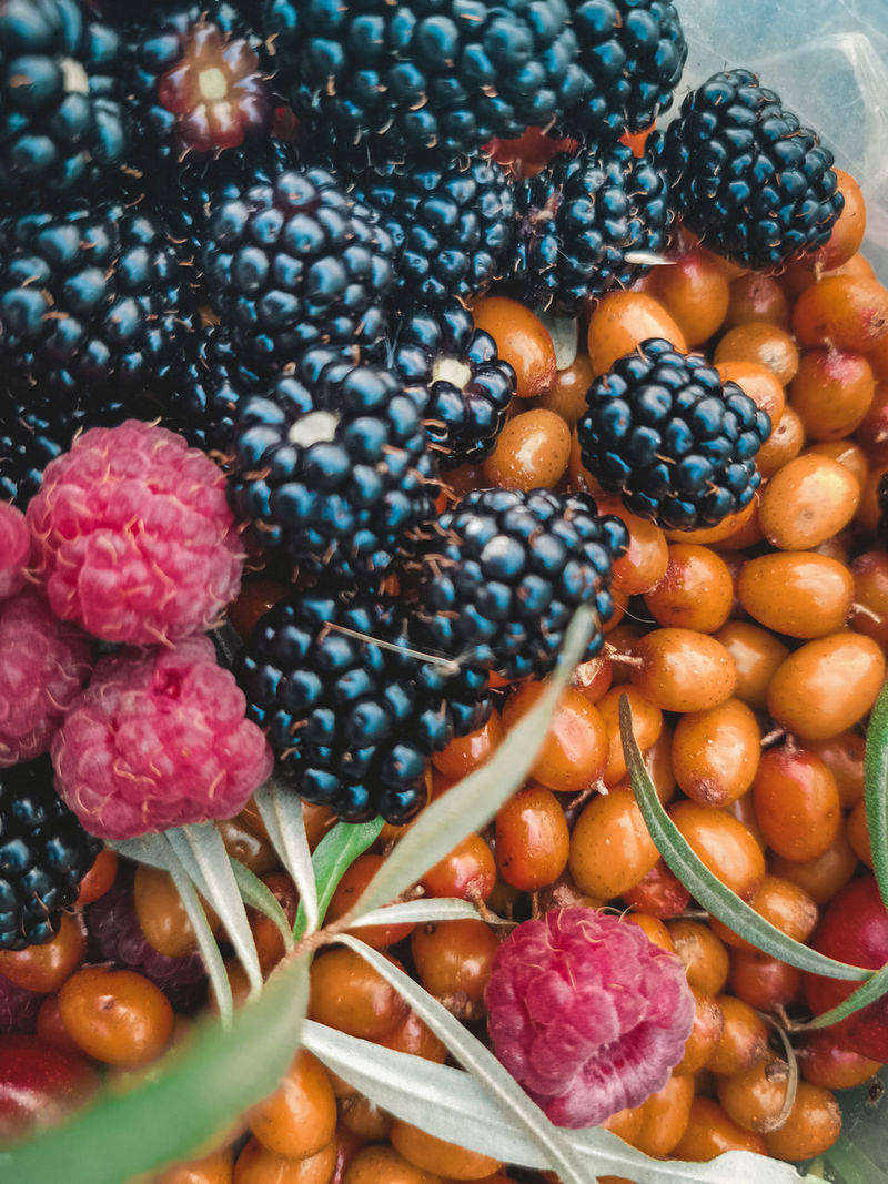 boysenberry, blackberries, raspberries, SD Phone Wallpaper