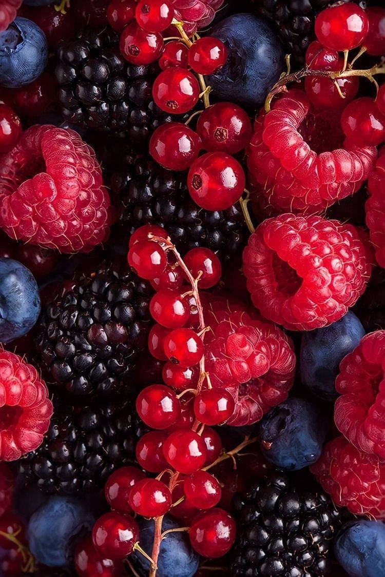 boysenberry, cherries, raspberries, SD Phone Wallpaper
