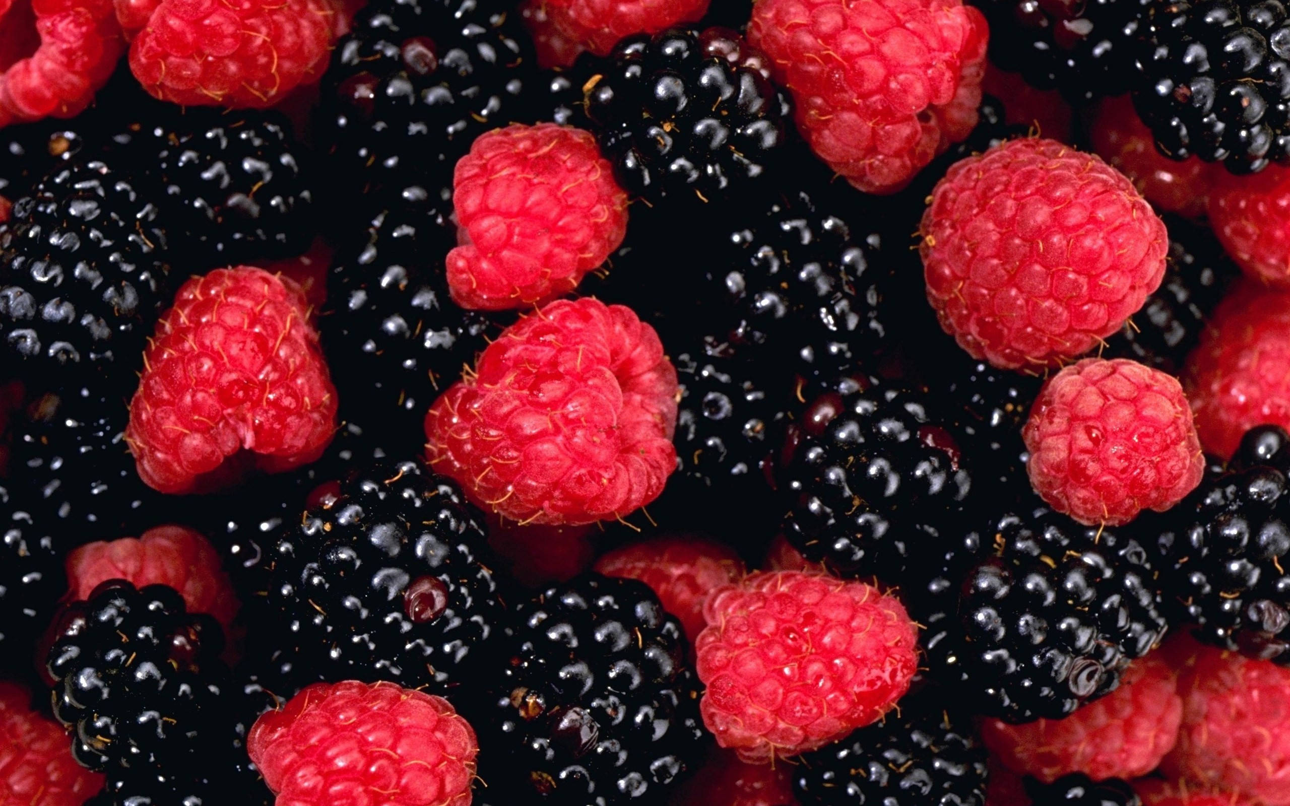Boysenberry, earthy undertone, red raspberries, 2K Desktop Wallpaper