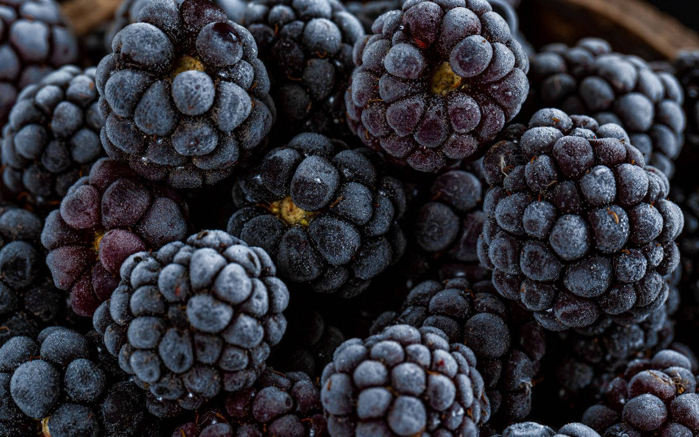 Boysenberry, frost-covered blackberries, icy crystals, HD Desktop Wallpaper