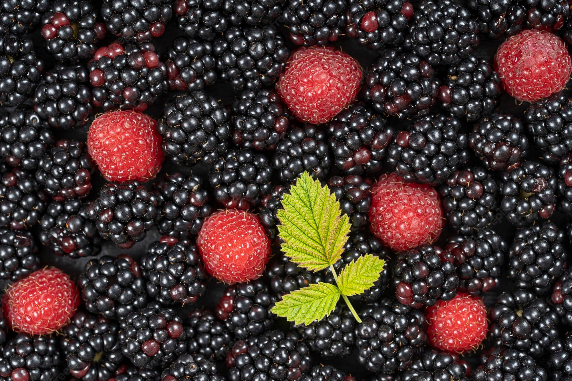 Boysenberry, raspberry, glossy blackberries, Full HD Desktop Wallpaper