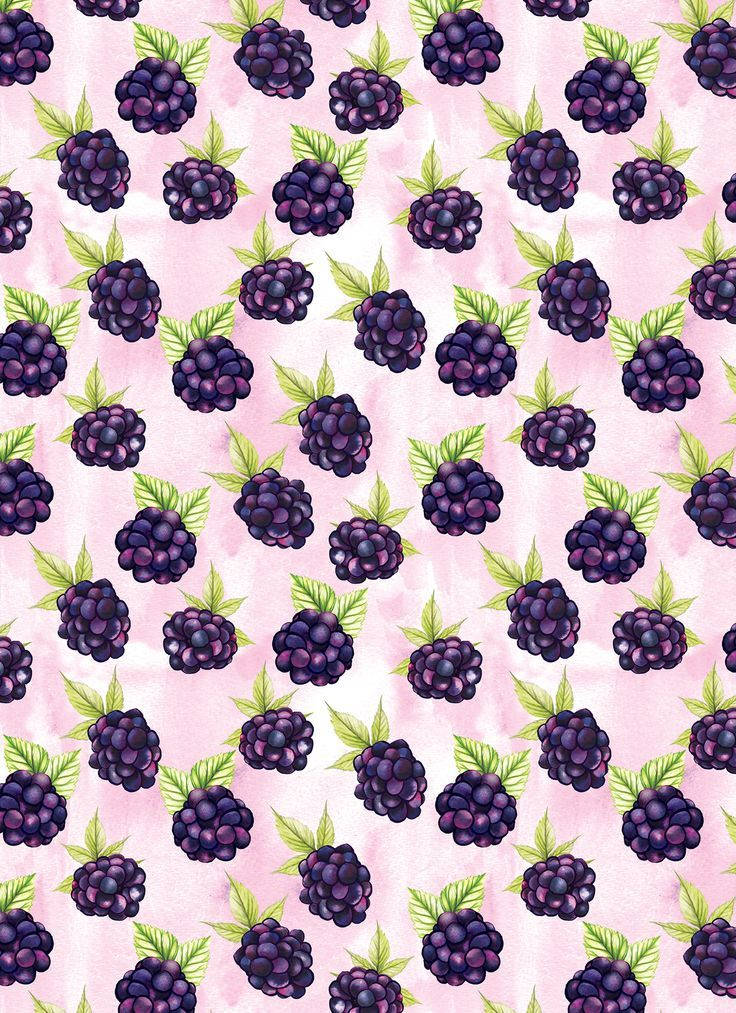 Boysenberry, dark purple blackberries, green leaves, SD Phone Wallpaper