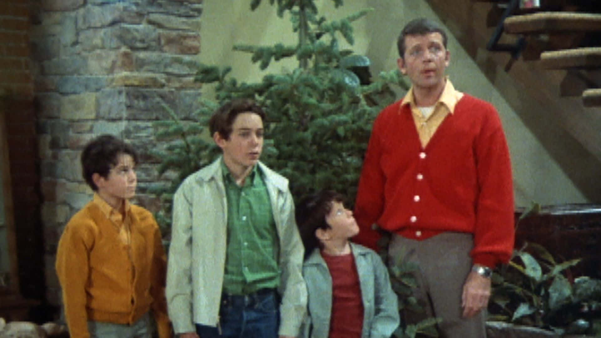 The Brady Bunch, family portrait, cozy indoor setting, Full HD Desktop Wallpaper