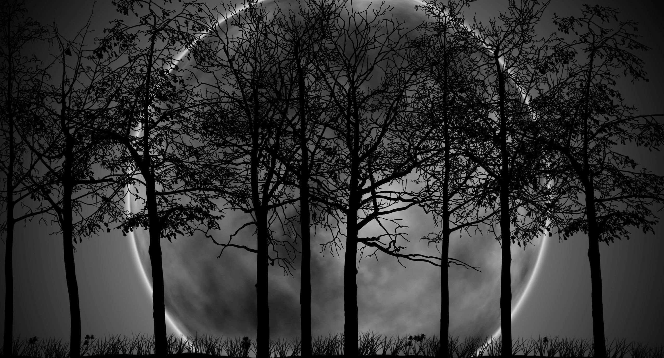 crescent moon, dark forest, silhouetted trees, Full HD Desktop Wallpaper