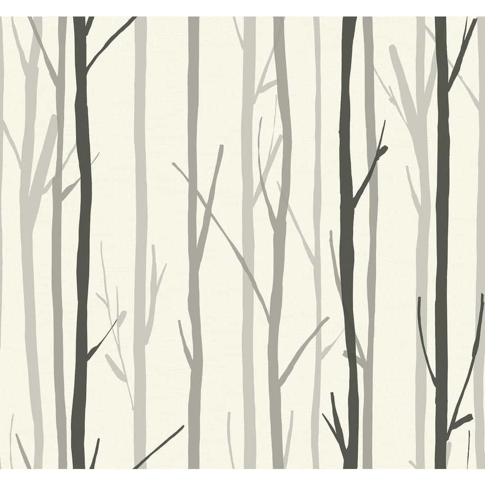 bare tree branches, cloudy sky, grayscale, SD Desktop Wallpaper