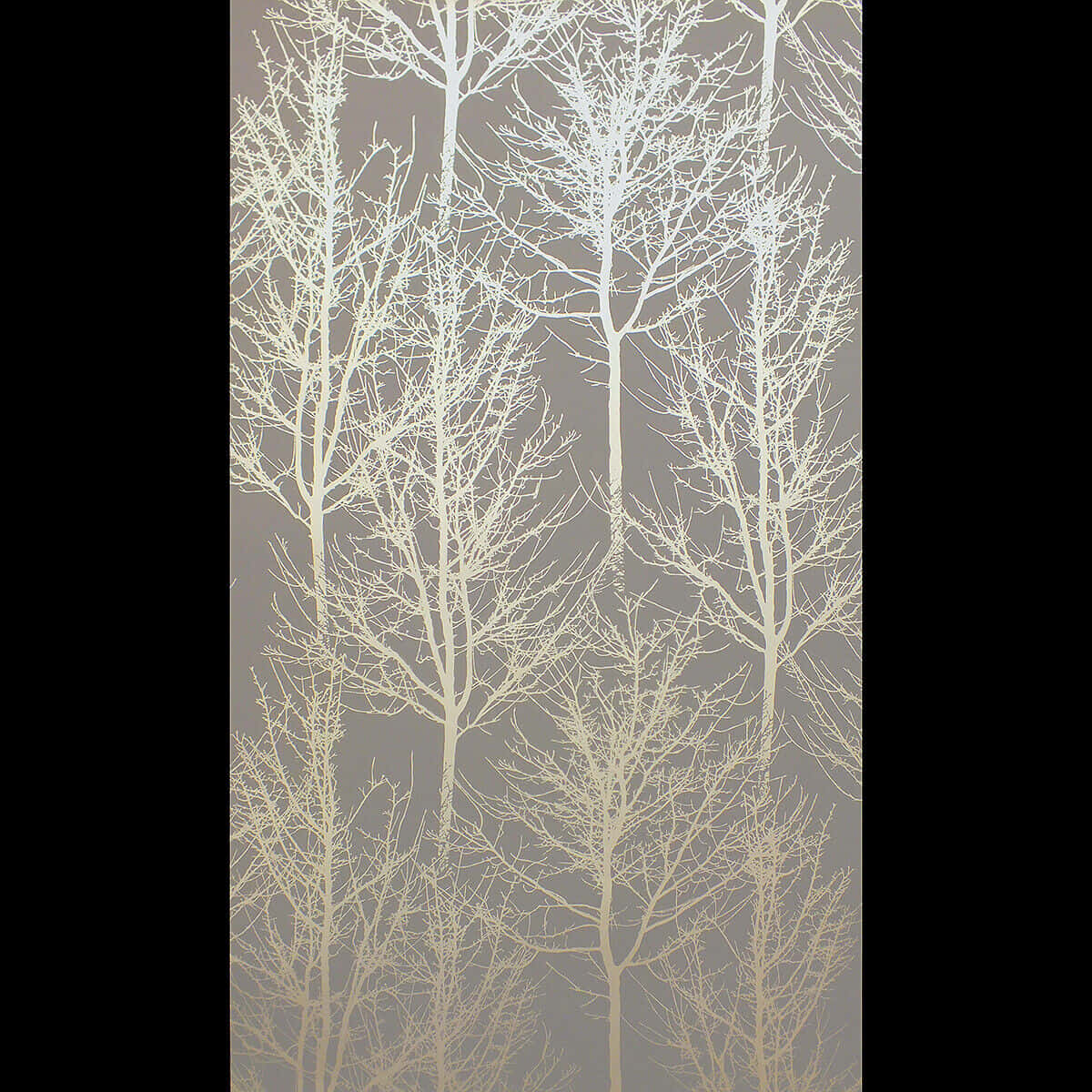 white tree branches, gray background, bare trees, SD Desktop Wallpaper