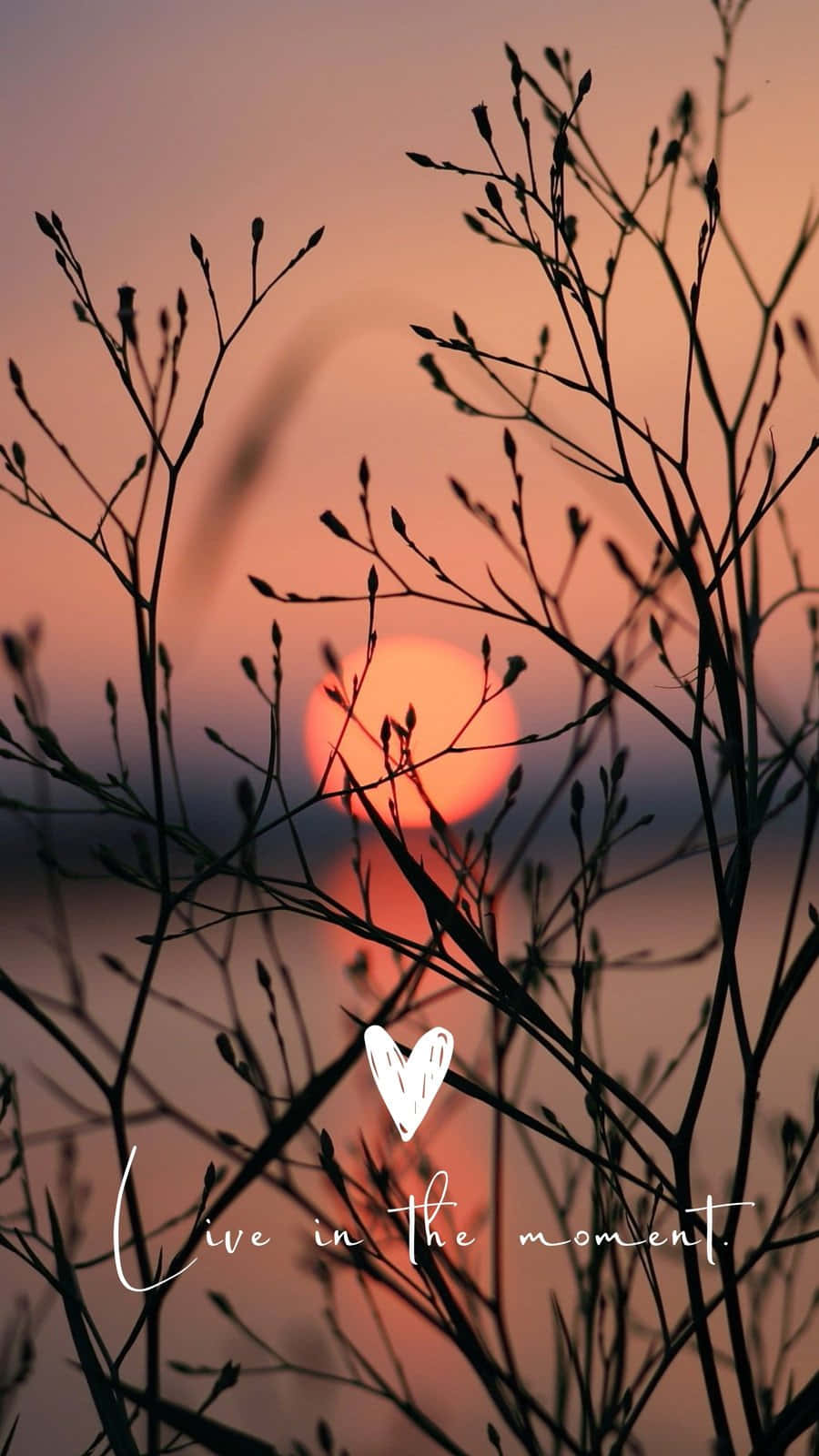 heart, branches, sunset, HD Phone Wallpaper