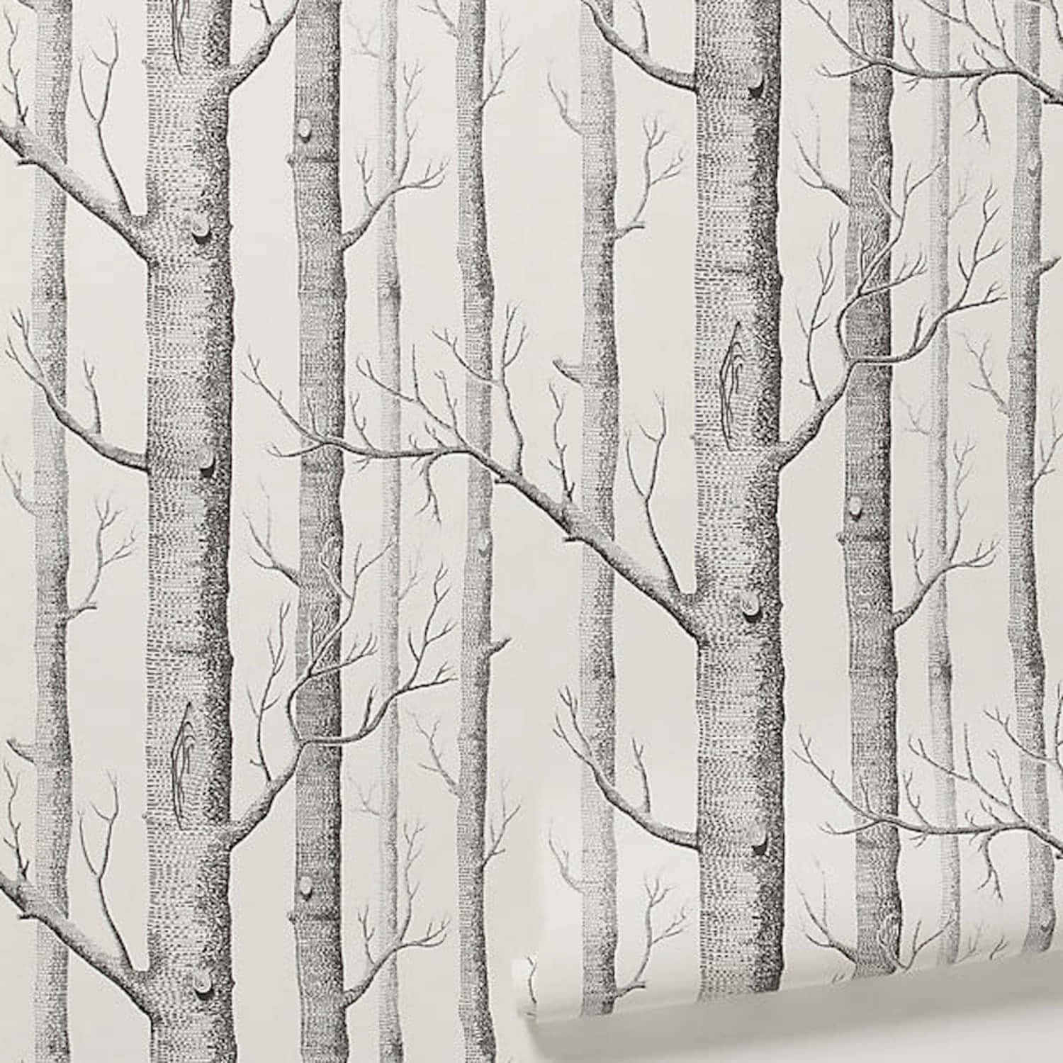 bare tree branches, monochrome, textured bark, HD Desktop Wallpaper