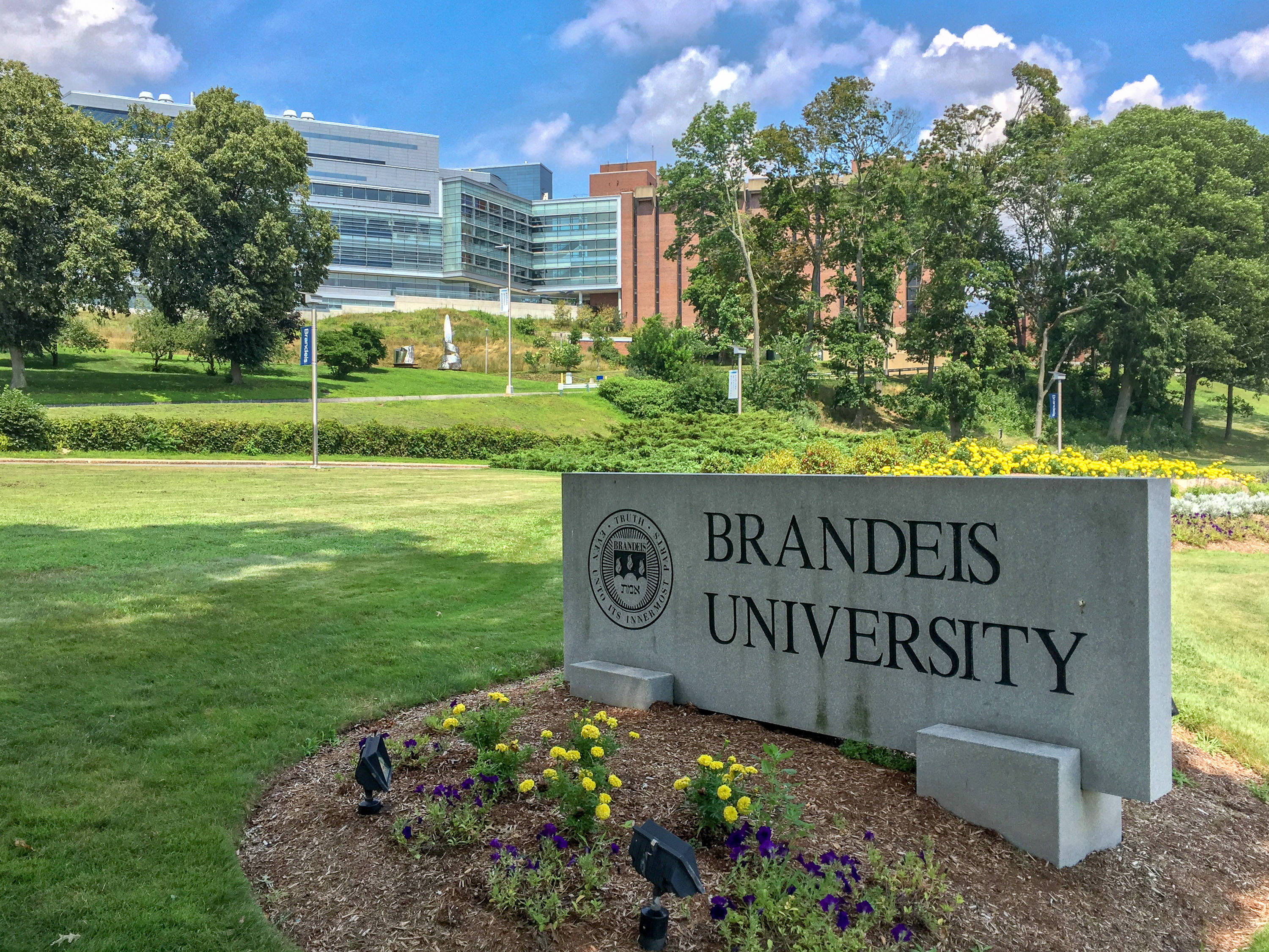 Brandeis University, entrance sign, stone sign, 2K Desktop Wallpaper