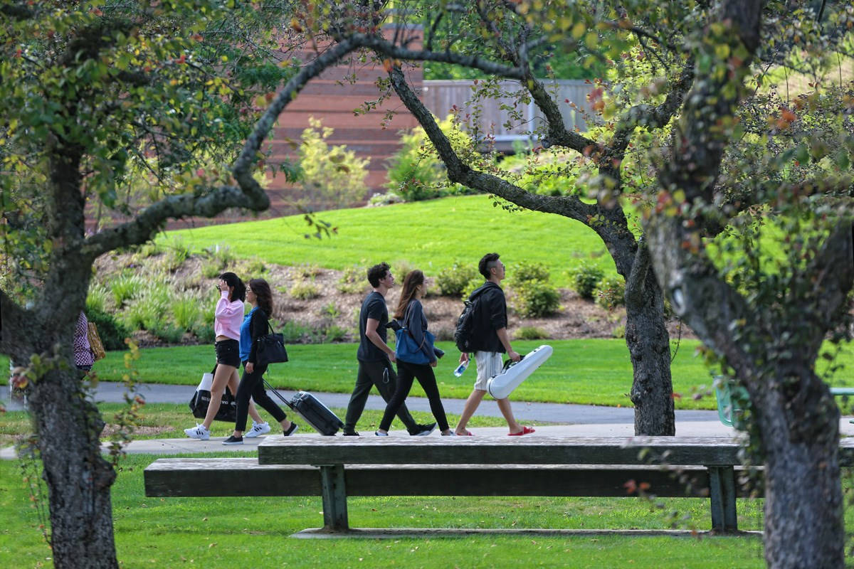 Brandeis University, students, sunlit park, SD Desktop Wallpaper