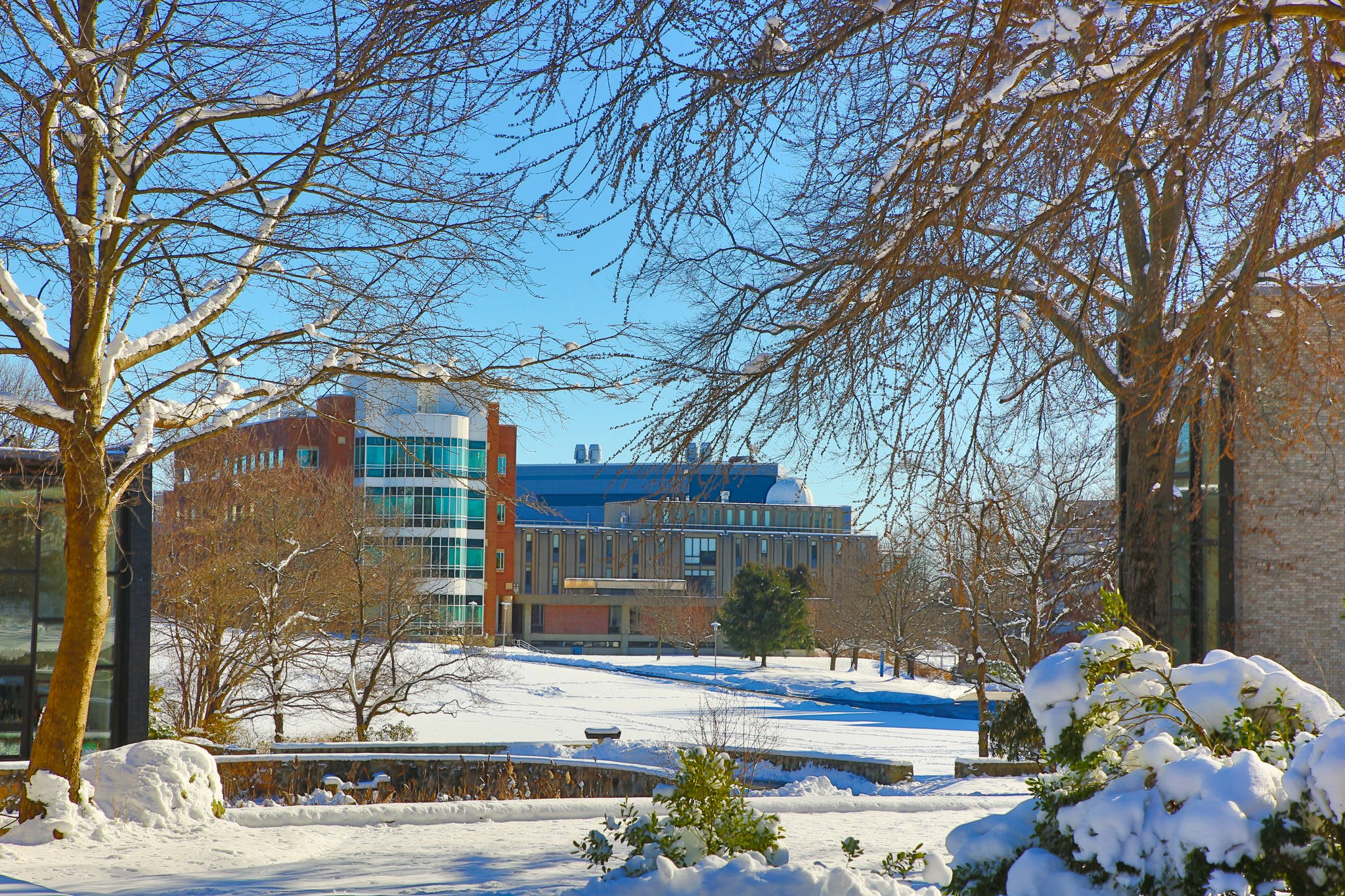 Brandeis University, campus courtyard, bare trees, Full HD Desktop Wallpaper