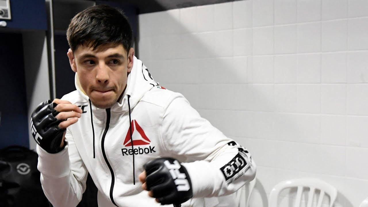 Brandon Moreno, white Reebok hoodie, black UFC gloves, HD Desktop Wallpaper