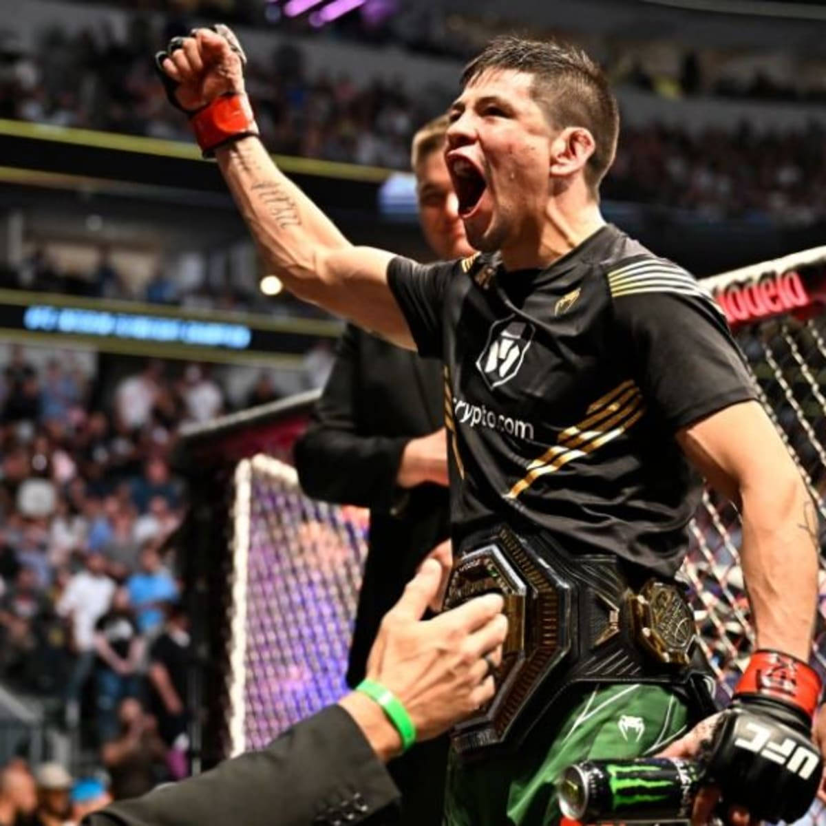 Brandon Moreno, championship belt, octagon, SD Desktop Wallpaper