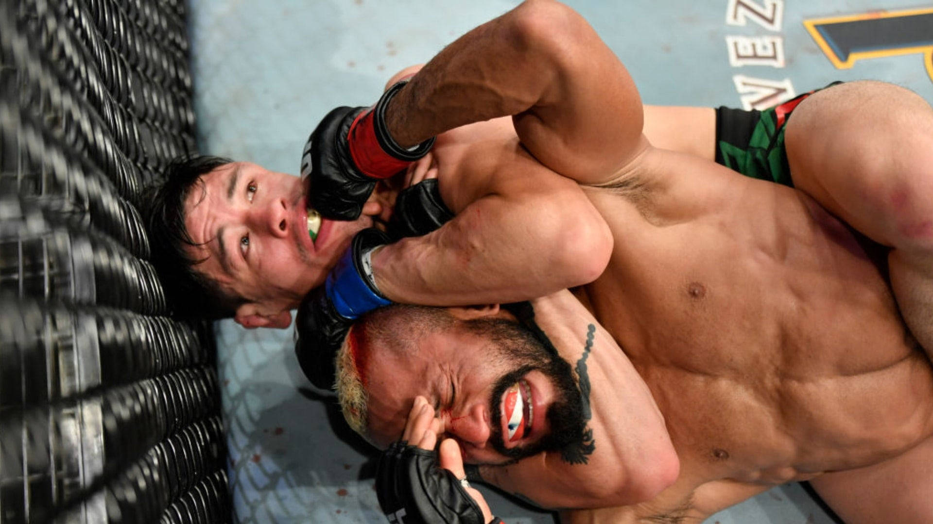 Brandon Moreno, grappling opponent, mixed martial arts cage, Full HD Desktop Wallpaper