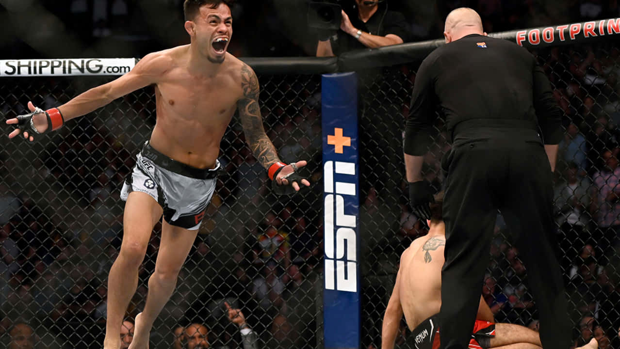 Brandon Royval, MMA fighter, octagon, SD Desktop Wallpaper