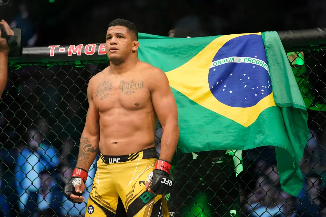 Brazil flag