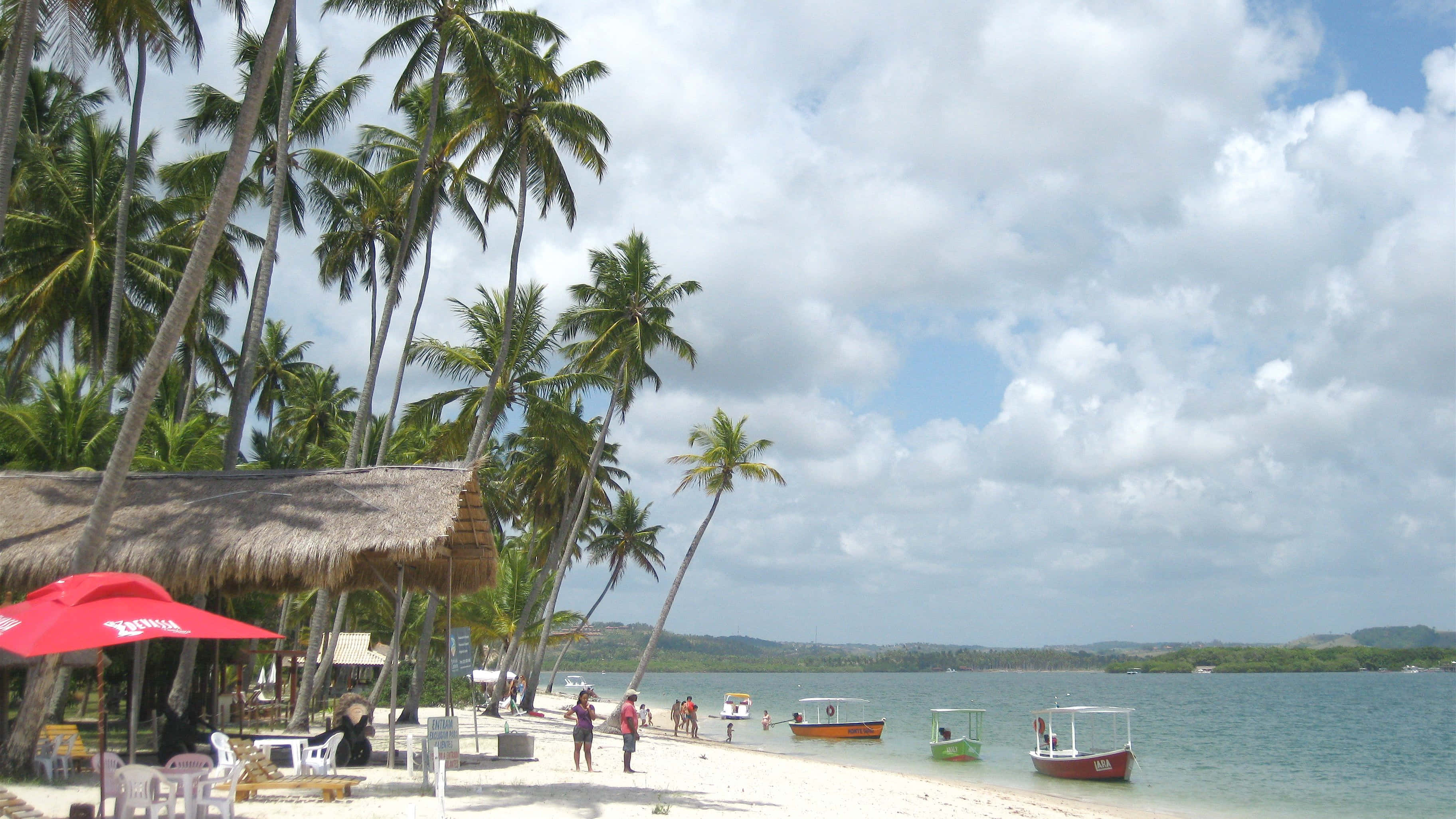 Brazilian Beach, palm trees, sandy shore, 2K Desktop Wallpaper