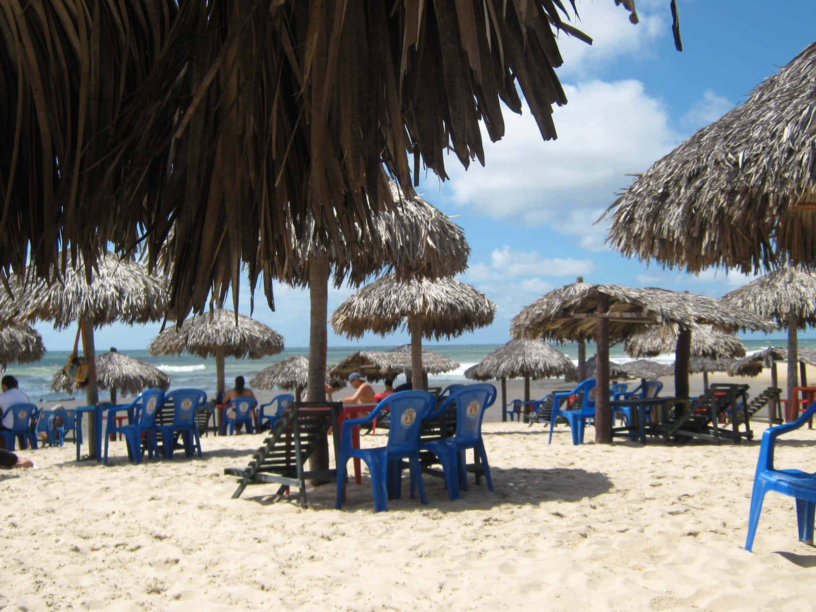 Brazilian Beach, bright blue plastic chairs, thatched umbrellas, HD Desktop Wallpaper