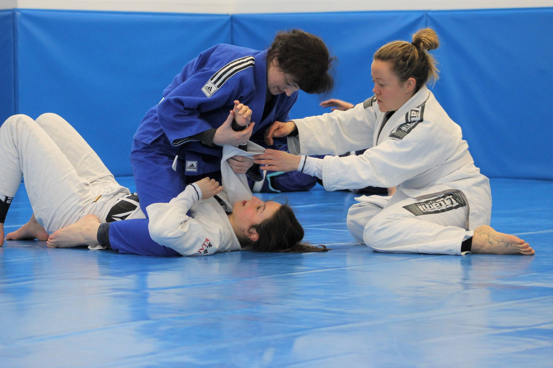 female athletes, Brazilian Jiu-Jitsu, judo gi, HD Desktop Wallpaper