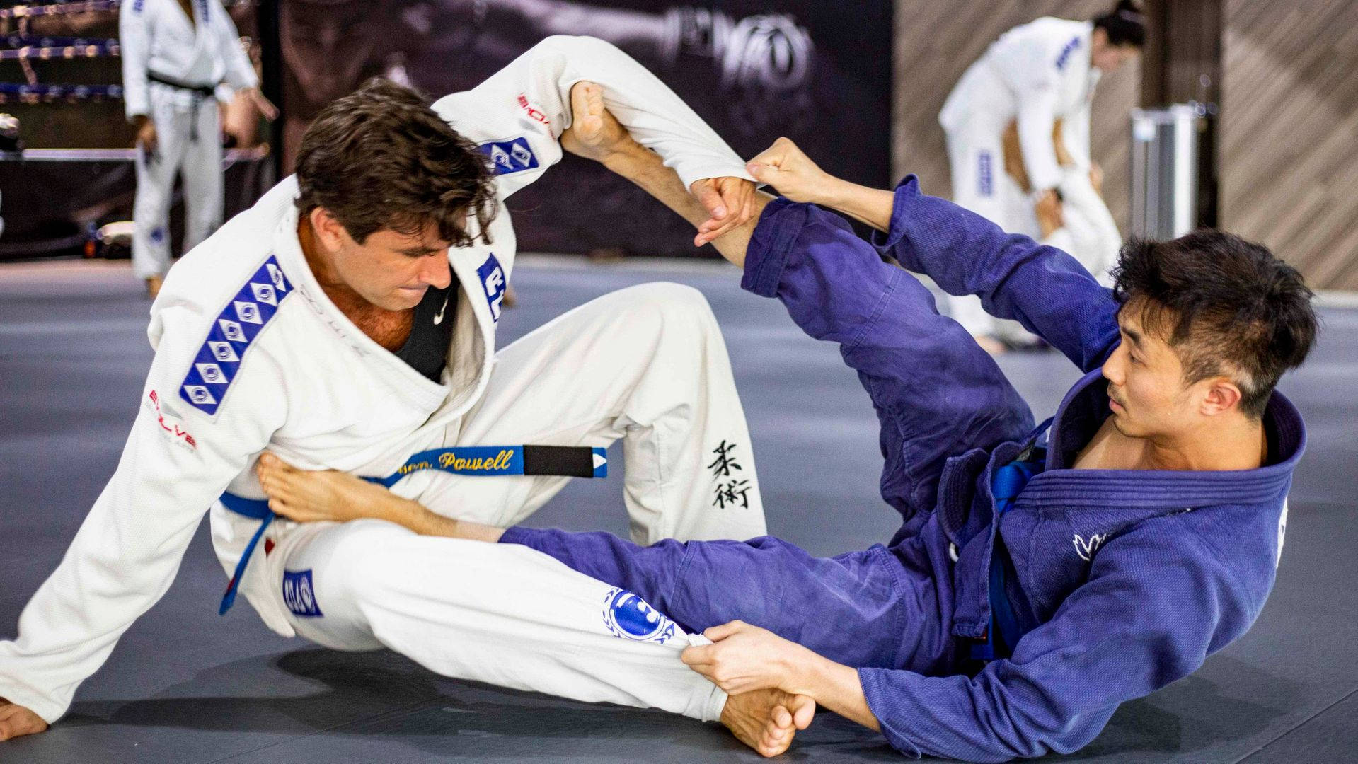 Brazilian Jiu-jitsu, white and blue gi, submission hold, HD Desktop Wallpaper
