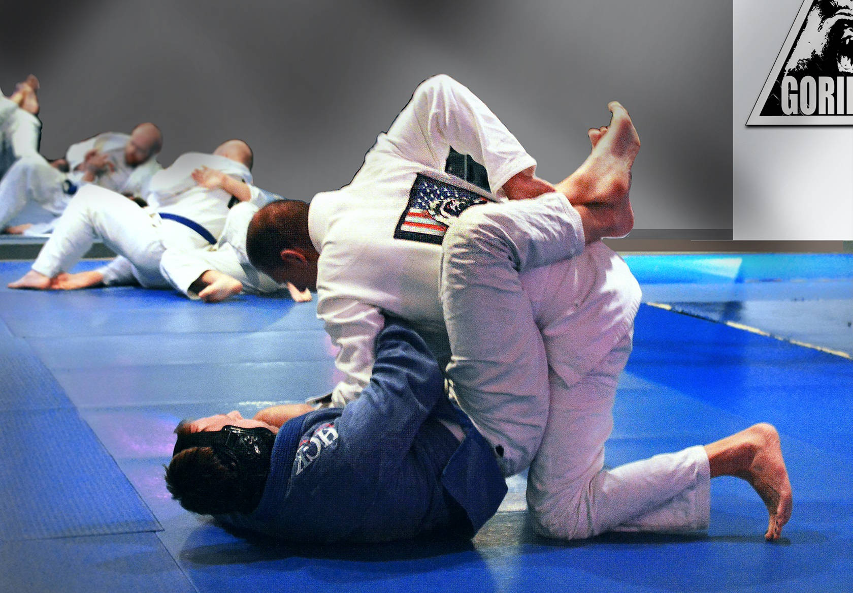 Brazilian Jiu-jitsu, blue mat, grappling, HD Desktop Wallpaper