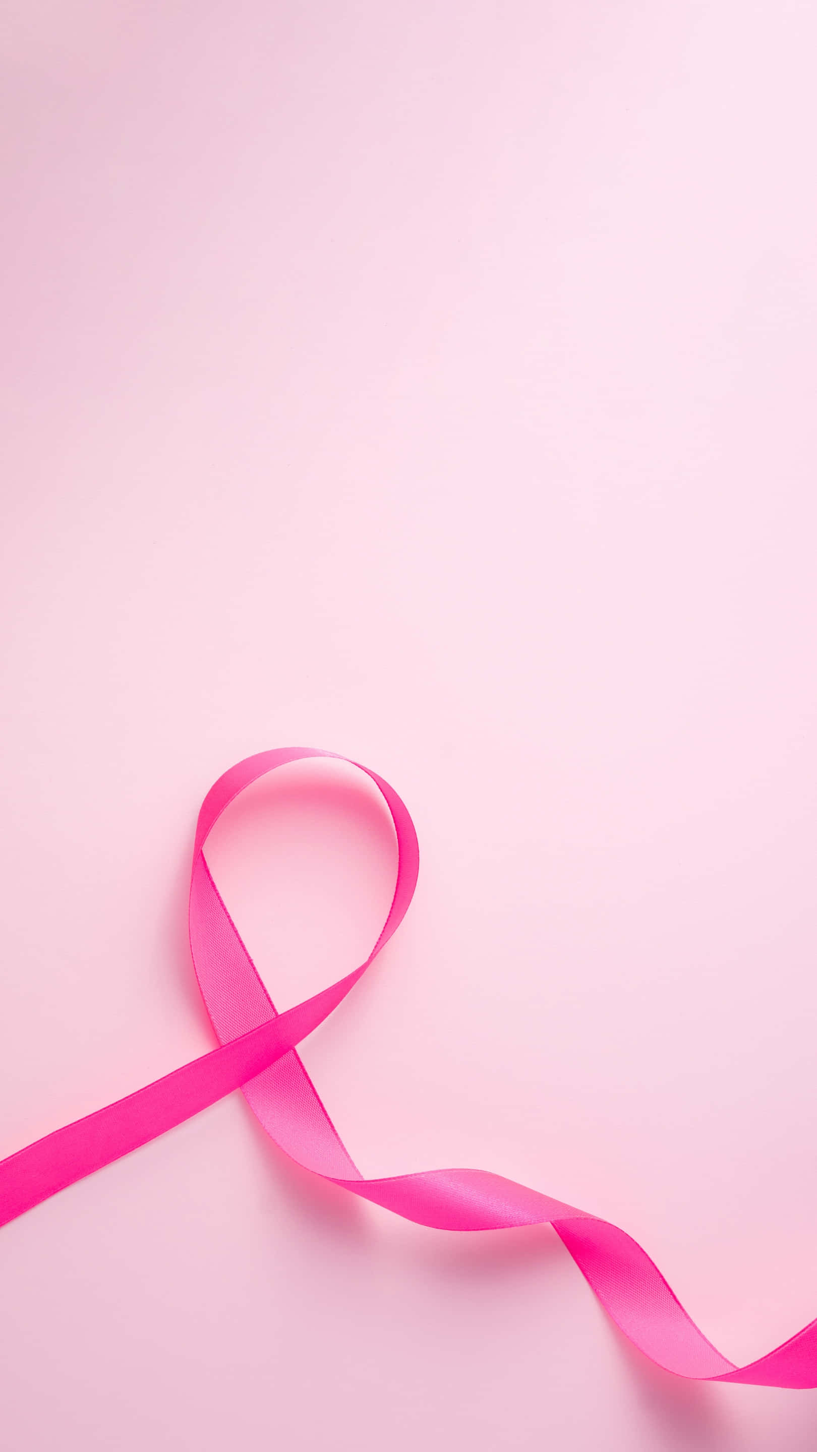 pink ribbon, breast cancer awareness, vibrant pink, 2K Phone Wallpaper