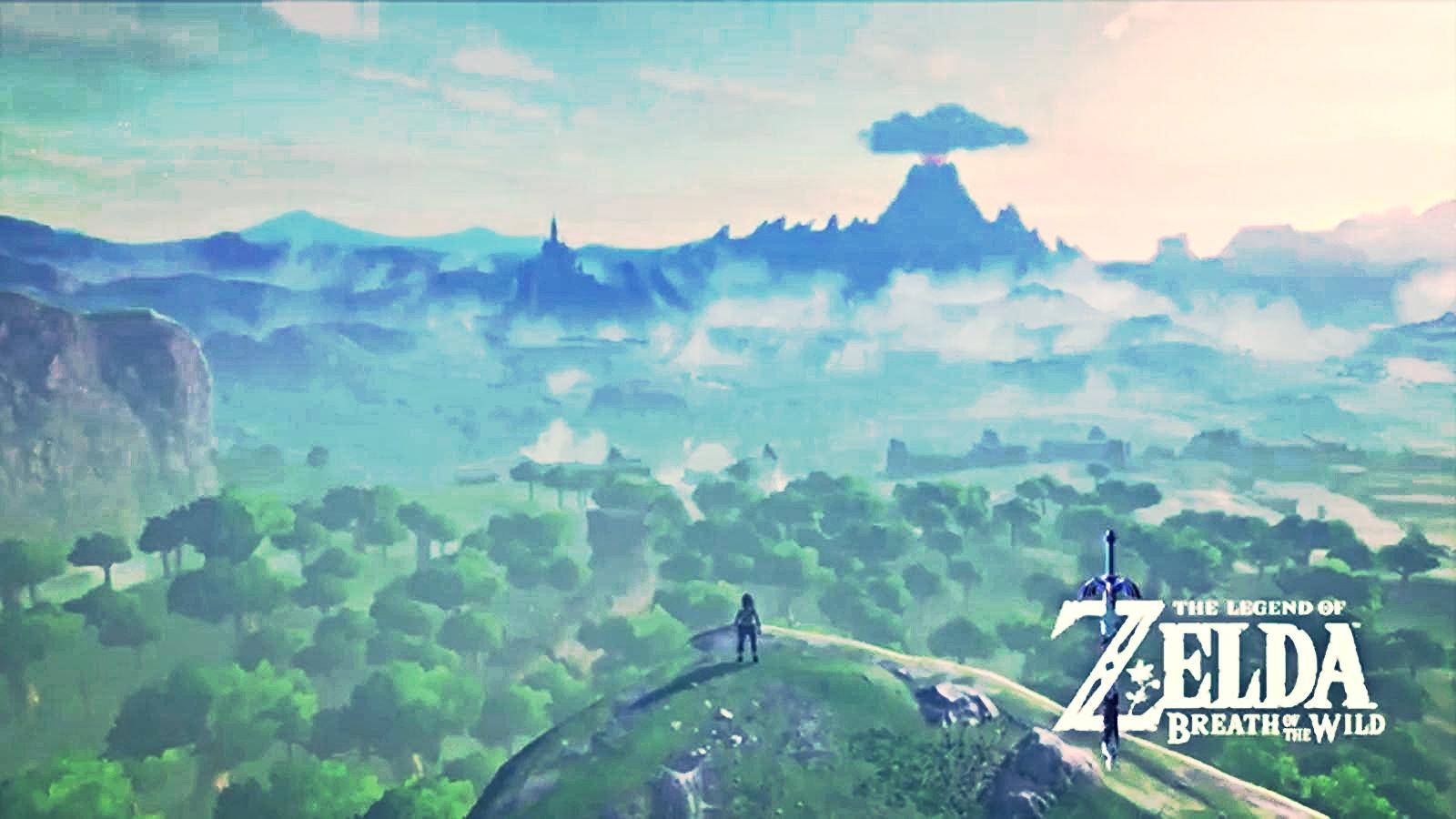 Breath Of The Wild, adventurer, grassy ridge, HD Desktop Wallpaper