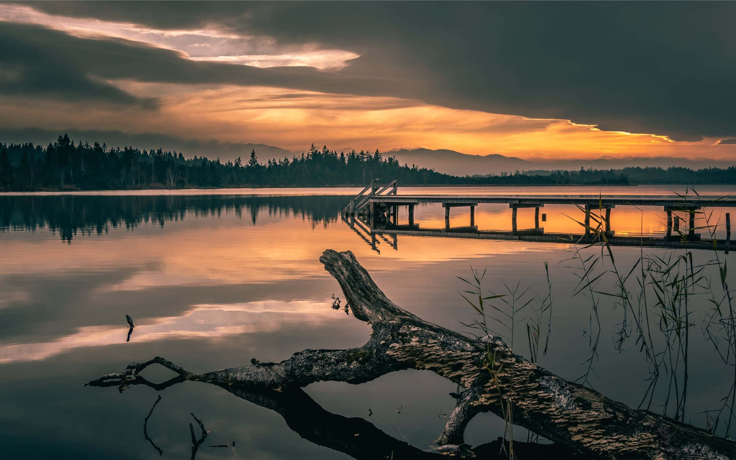 vibrant, colorful sunset, calm lake, weathered dock, 2K Desktop Wallpaper