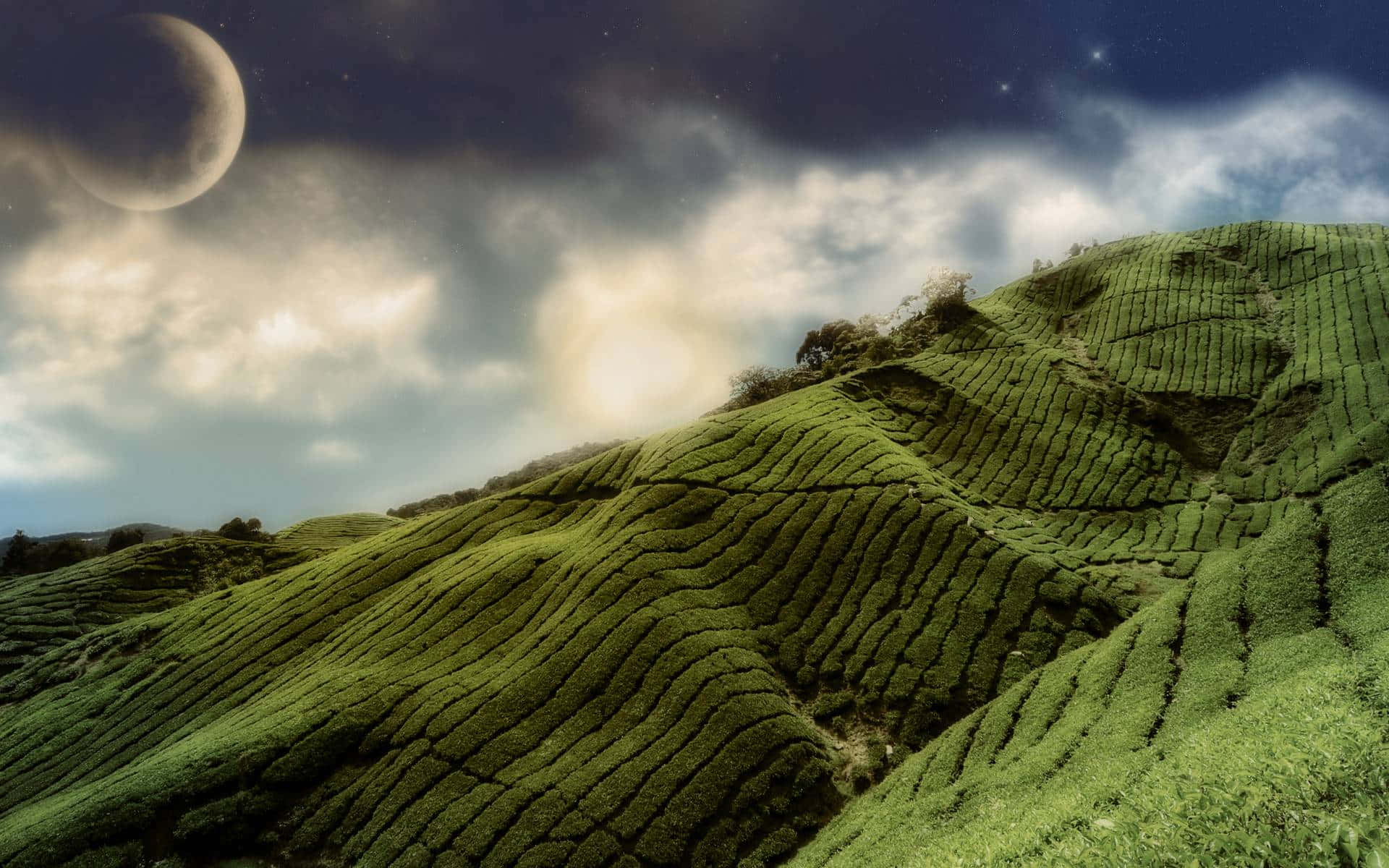 Sunset, Serene Mountainscape, Rolling green tea terraces, Full HD Desktop Wallpaper