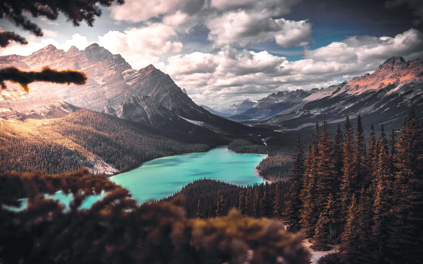 breathtaking, 1440 x 900, mountain valley, HD Desktop Wallpaper