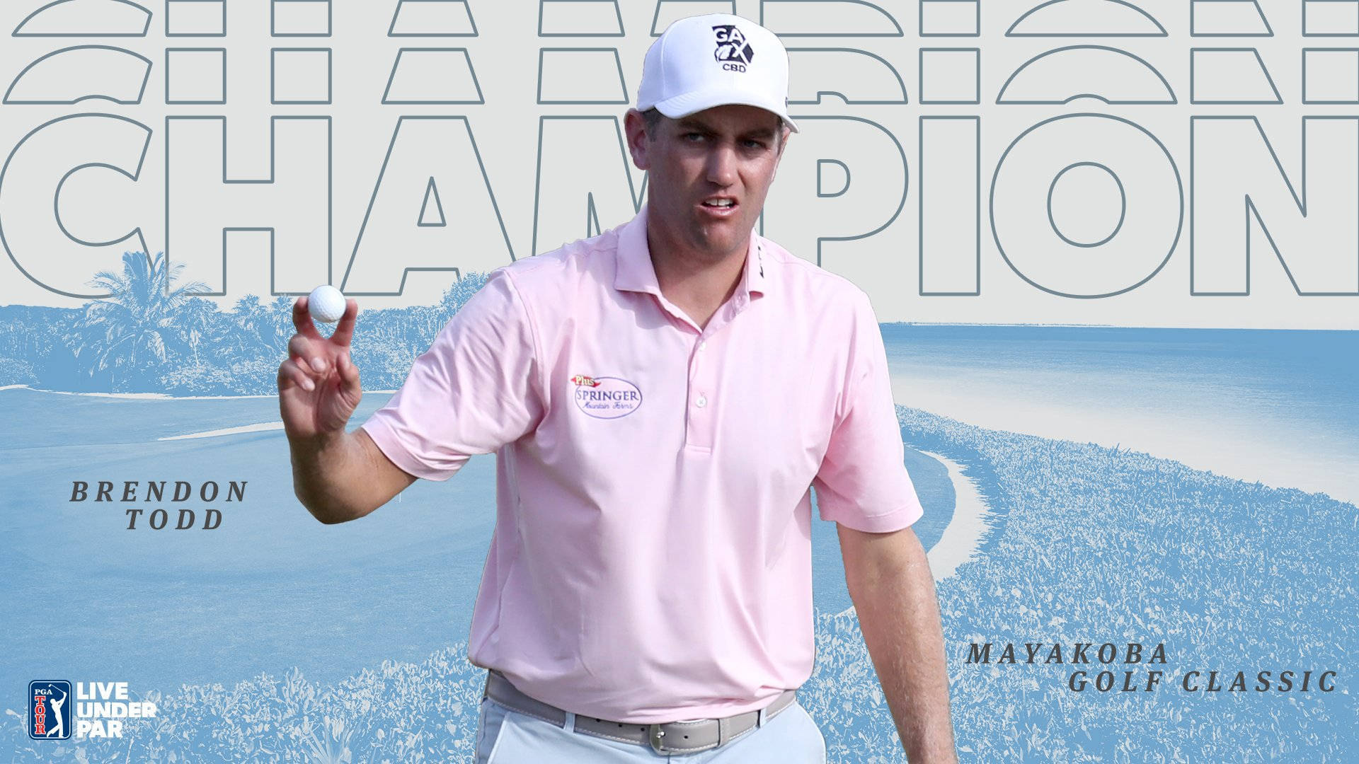 Brendon Todd, pink shirt, blue course backdrop, Full HD Desktop Wallpaper
