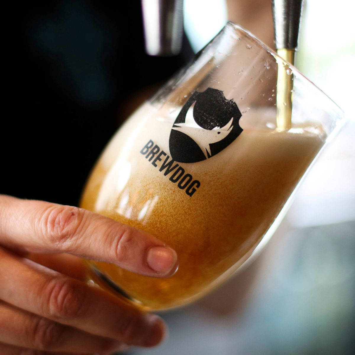 BrewDog, beer foam, glass, SD Desktop Wallpaper