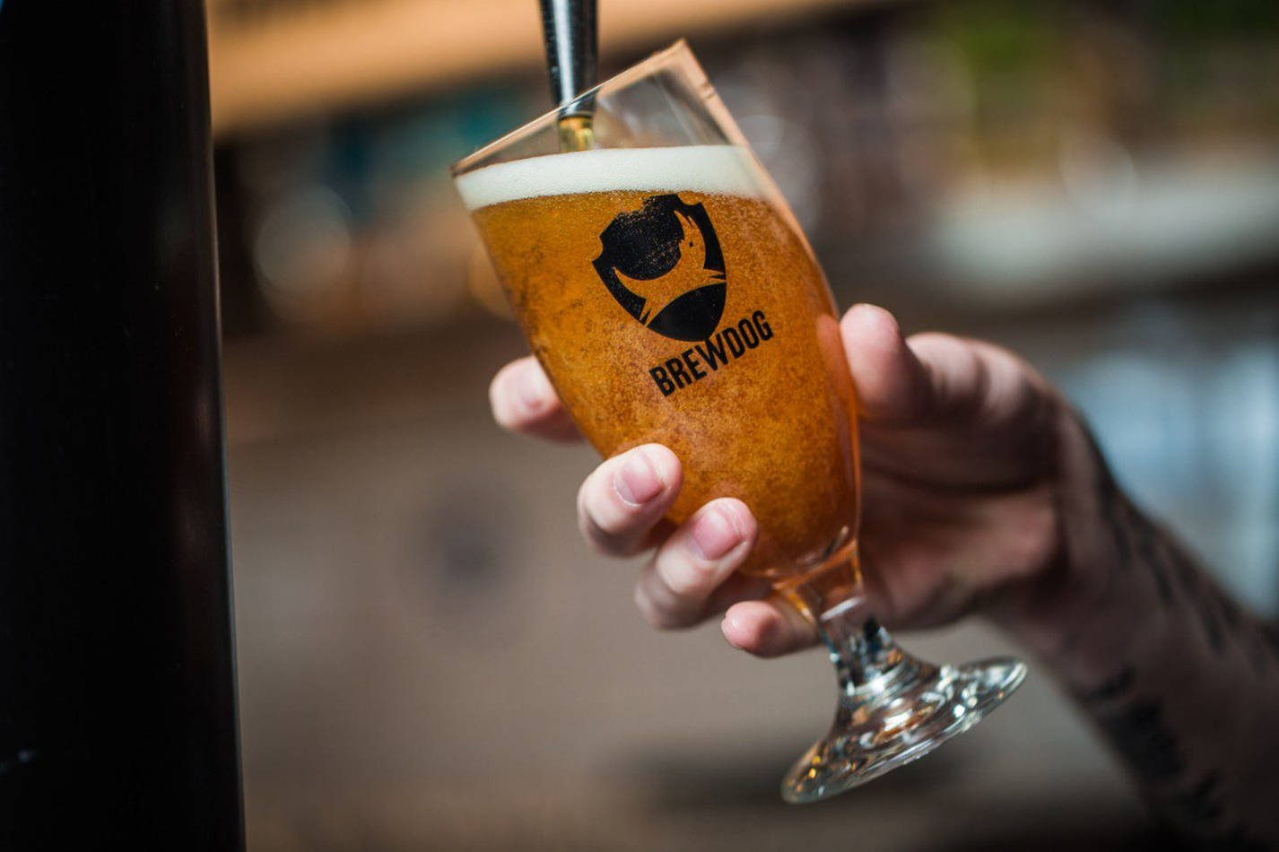 BrewDog, amber beer, white foam, HD Desktop Wallpaper