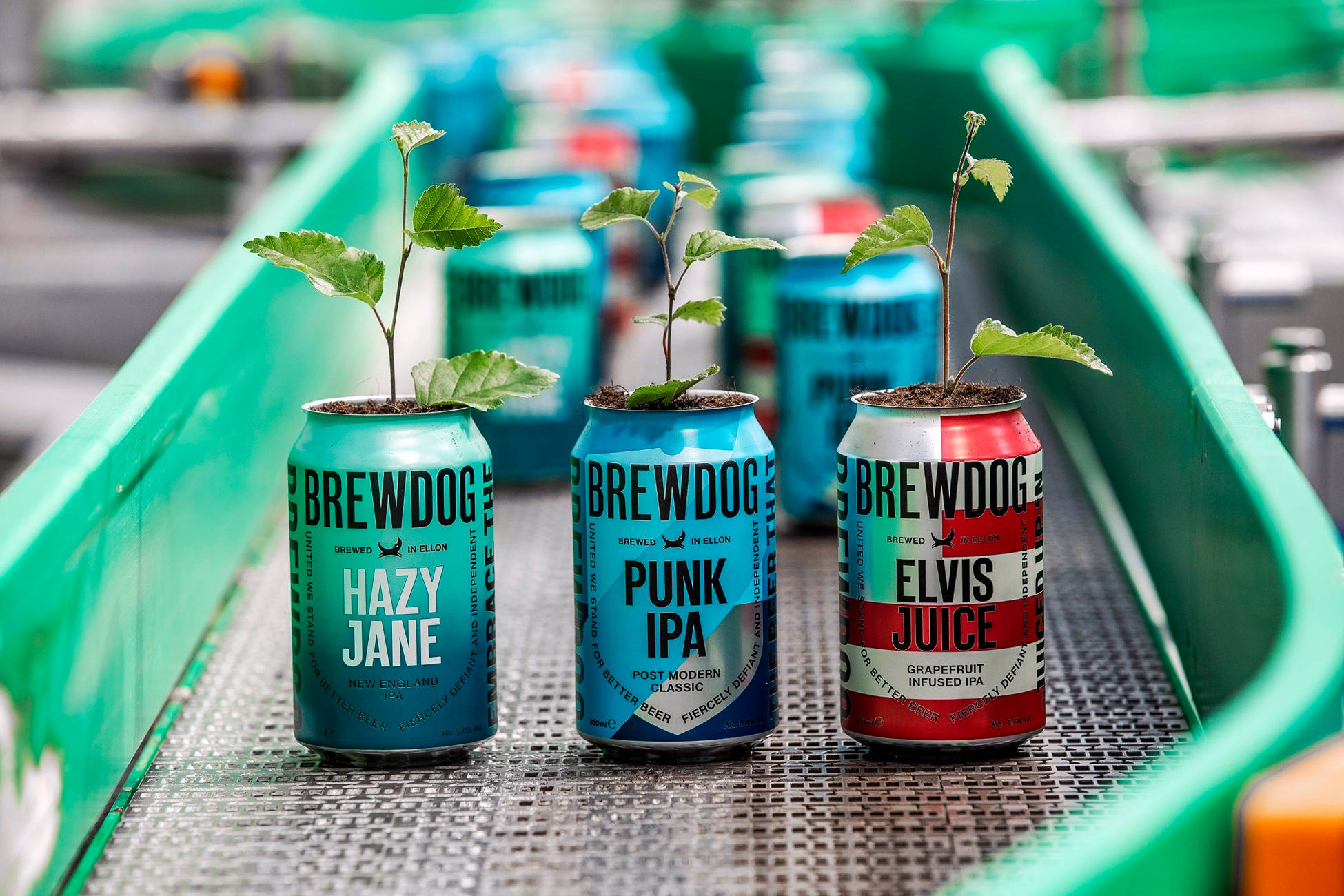 BrewDog, recycled cans, planters, Full HD Desktop Wallpaper