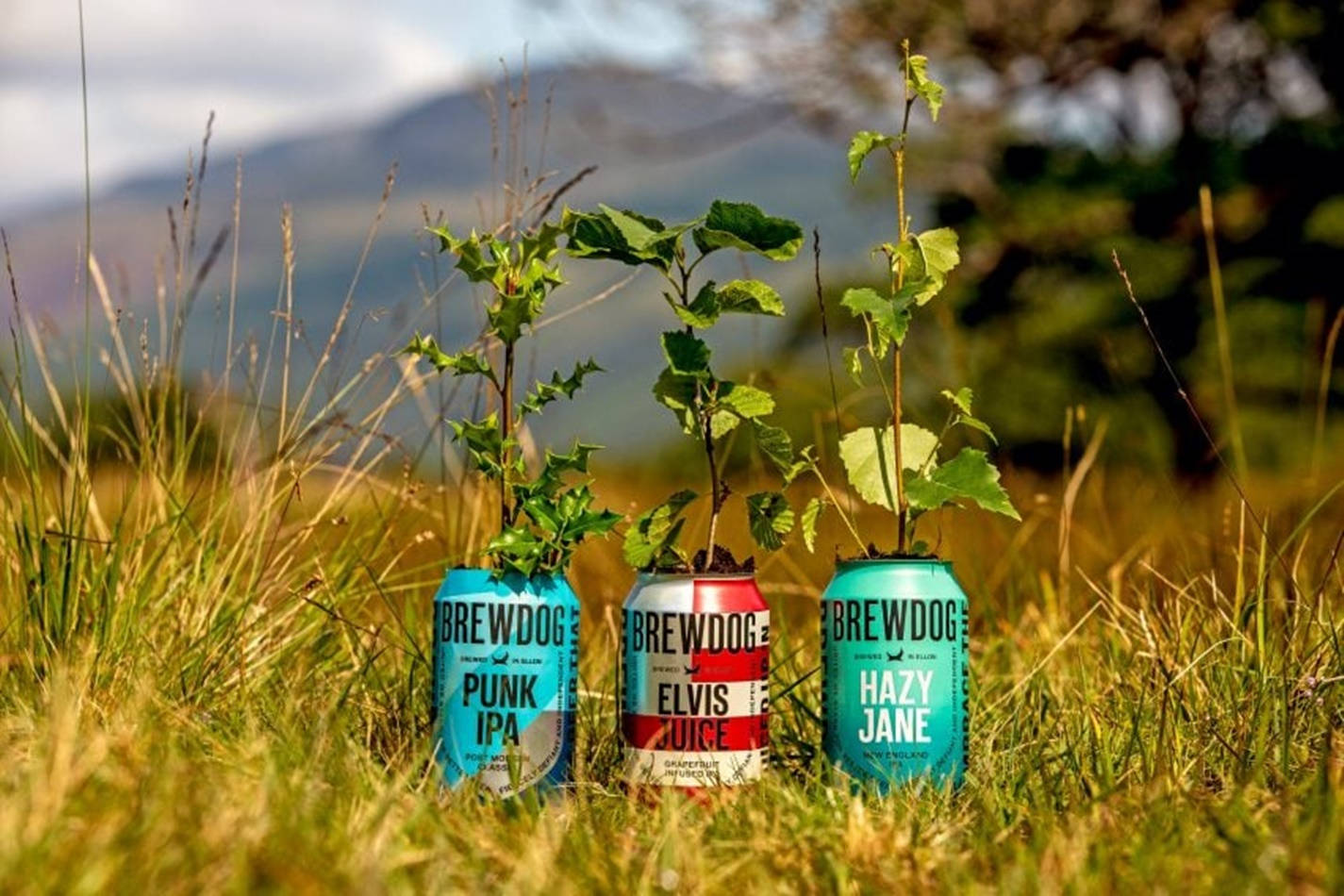 BrewDog, recycled cans, plants growing, HD Desktop Wallpaper