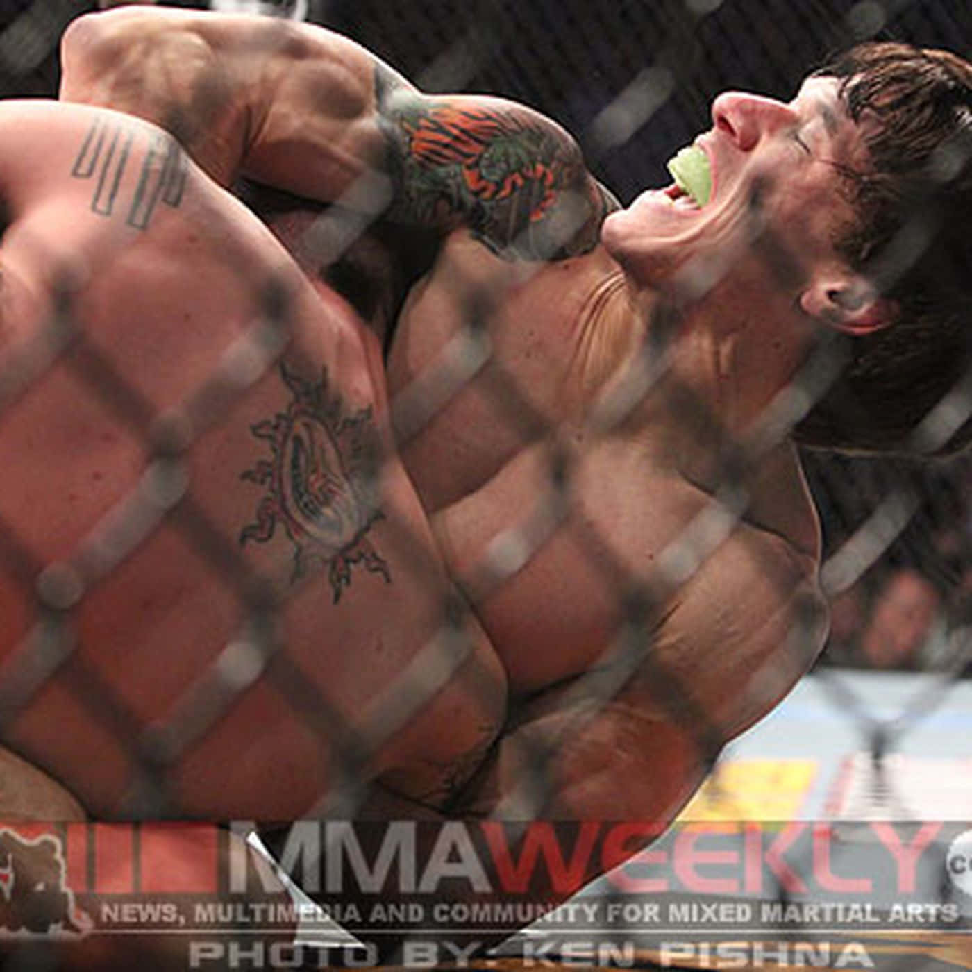 Brian Bowles, MMA fighters, octagon cage, HD Desktop Wallpaper