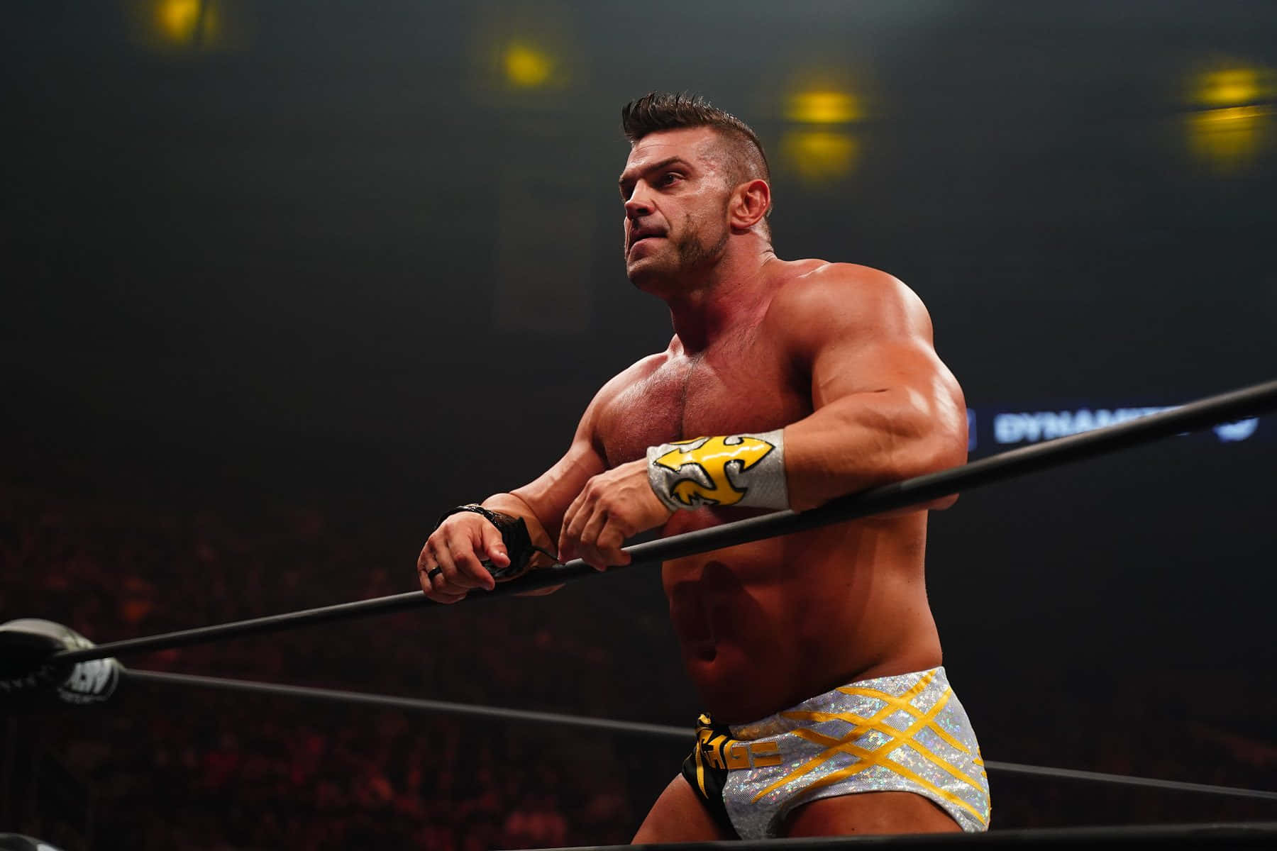 Brian Cage, ring ropes, bright arena lights, HD Desktop Wallpaper
