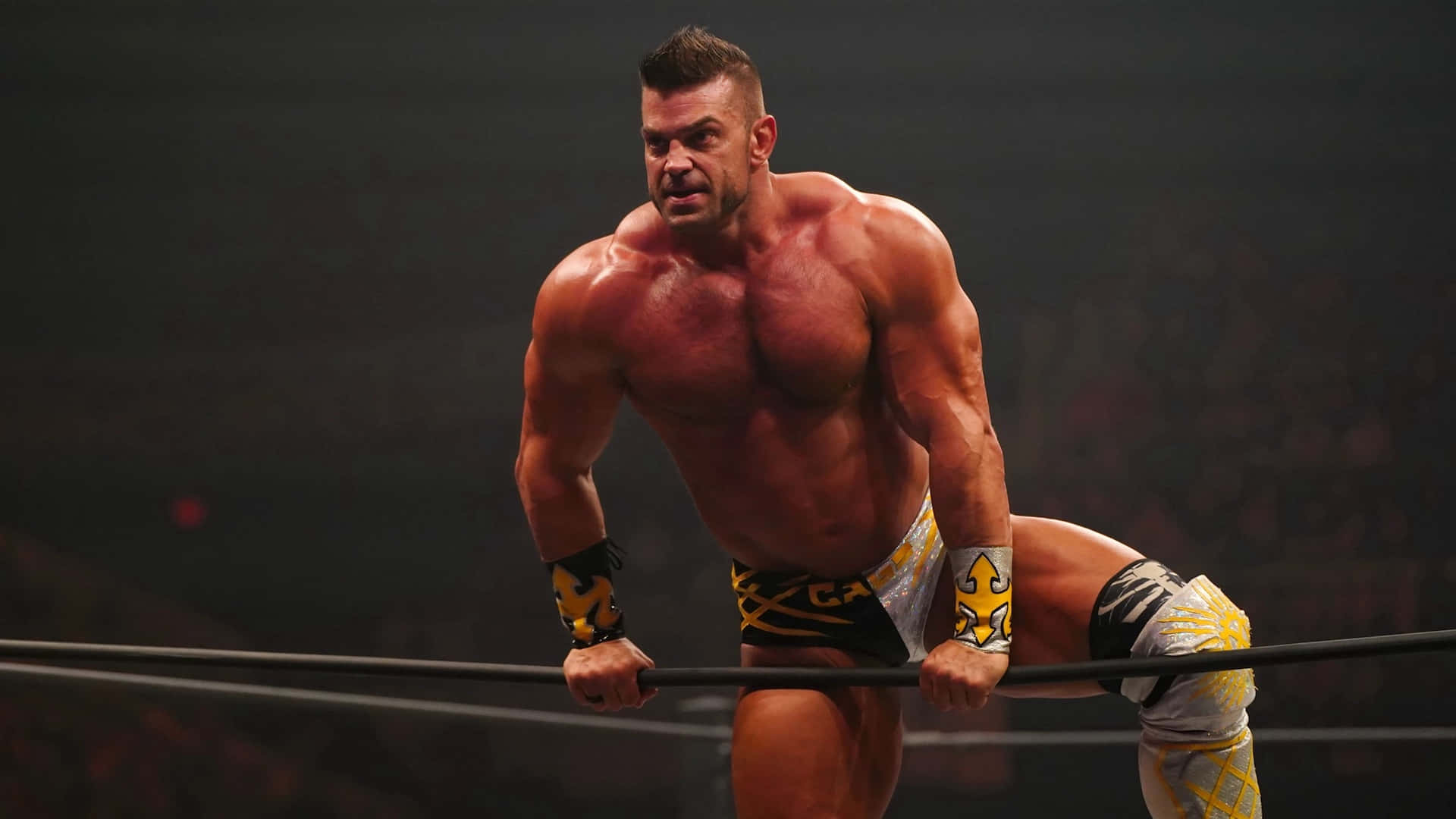 Brian Cage, wrestling ring, arena lights, Full HD Desktop Wallpaper