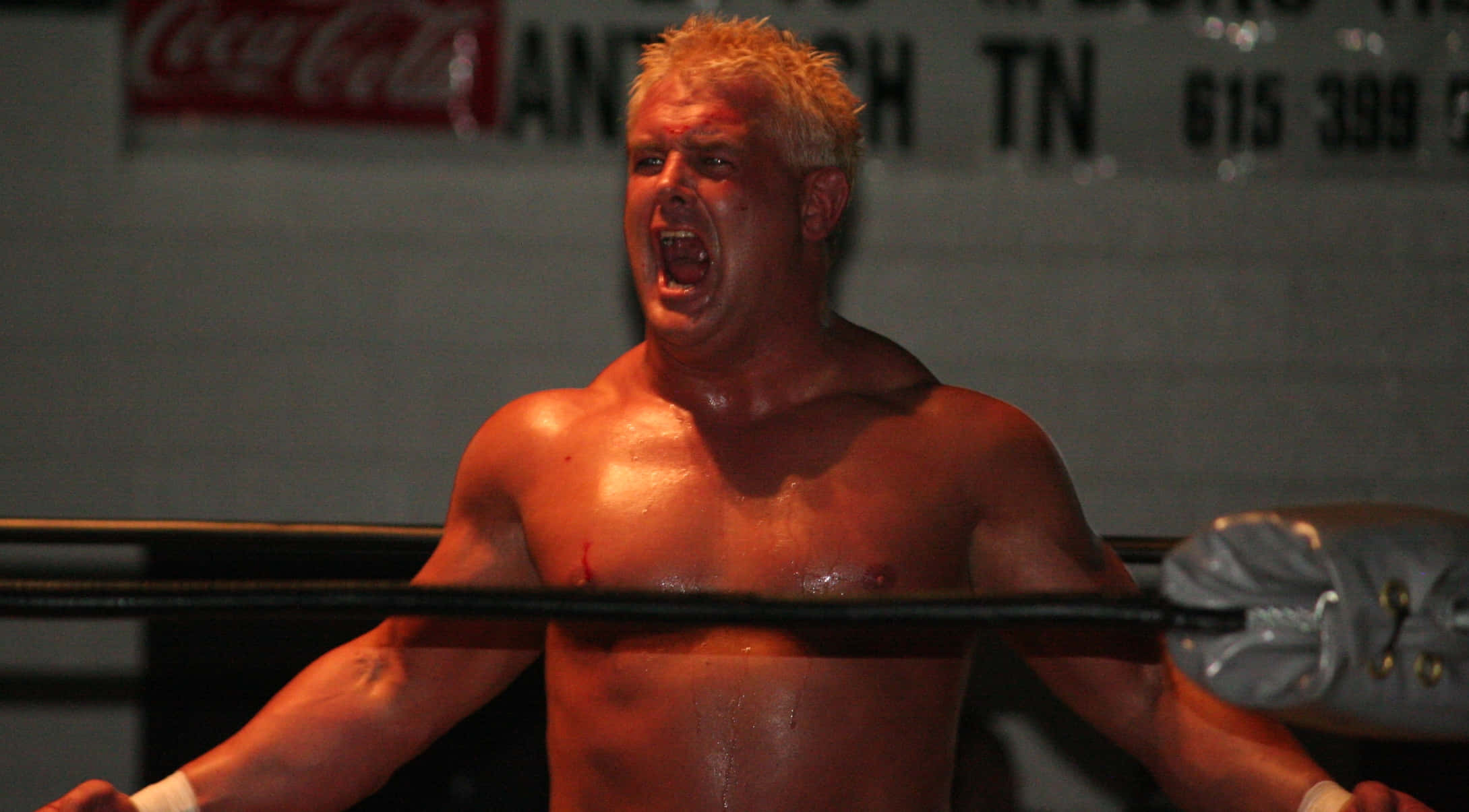 Brian Christopher, wrestler, ring, Full HD Desktop Wallpaper