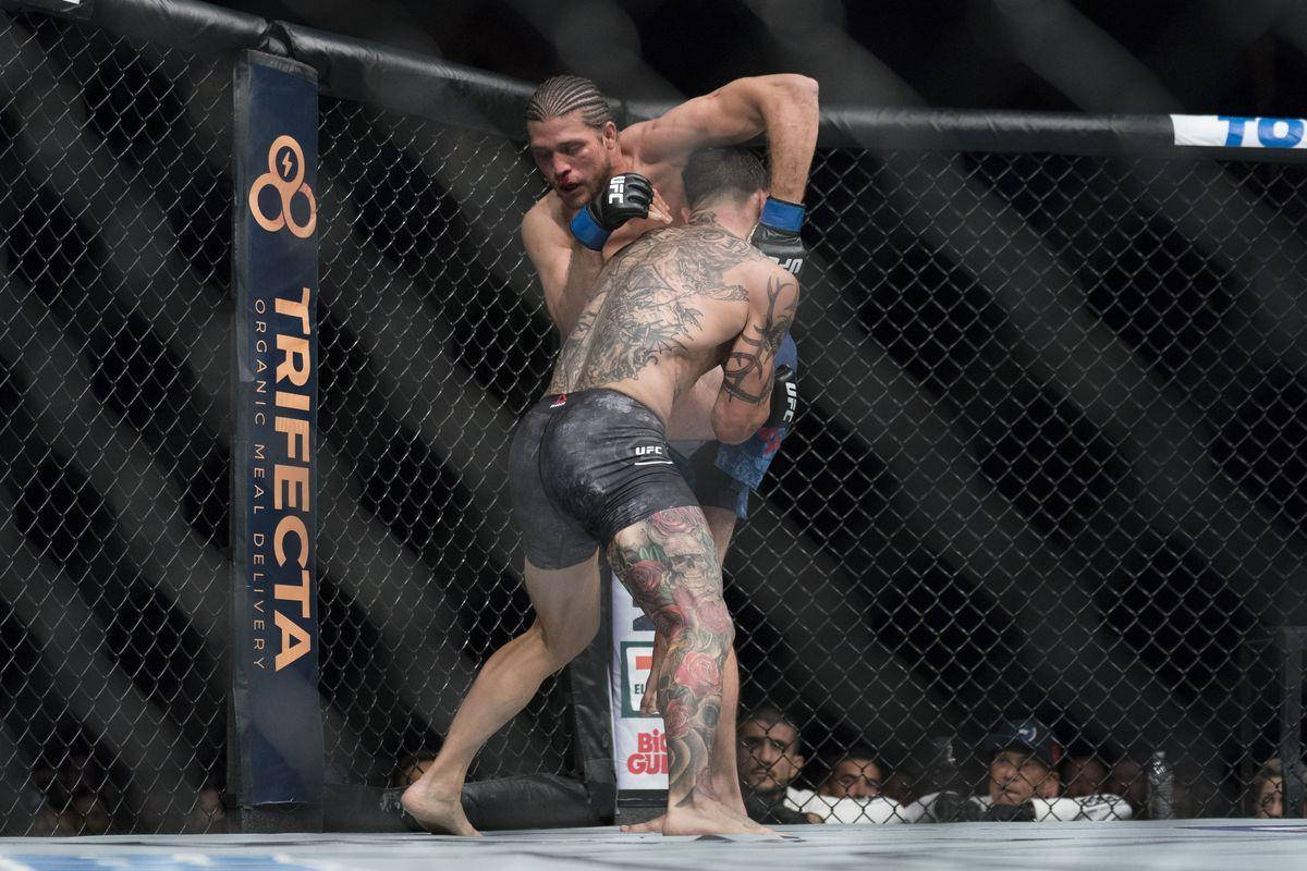 Brian Ortega, MMA fighters, octagon cage, SD Desktop Wallpaper
