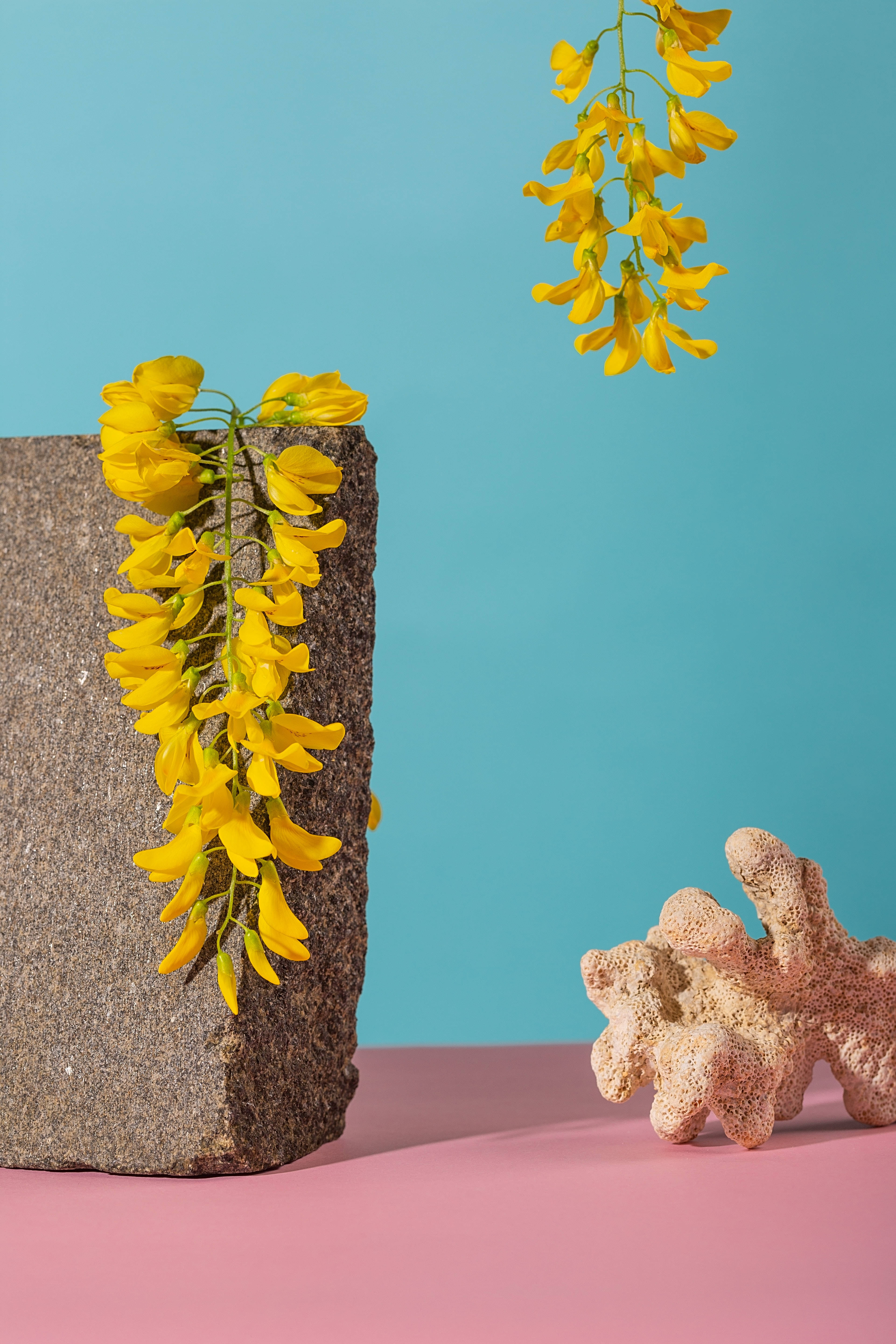 Brick, vibrant yellow flowers, rough stone block, 5K Phone Wallpaper