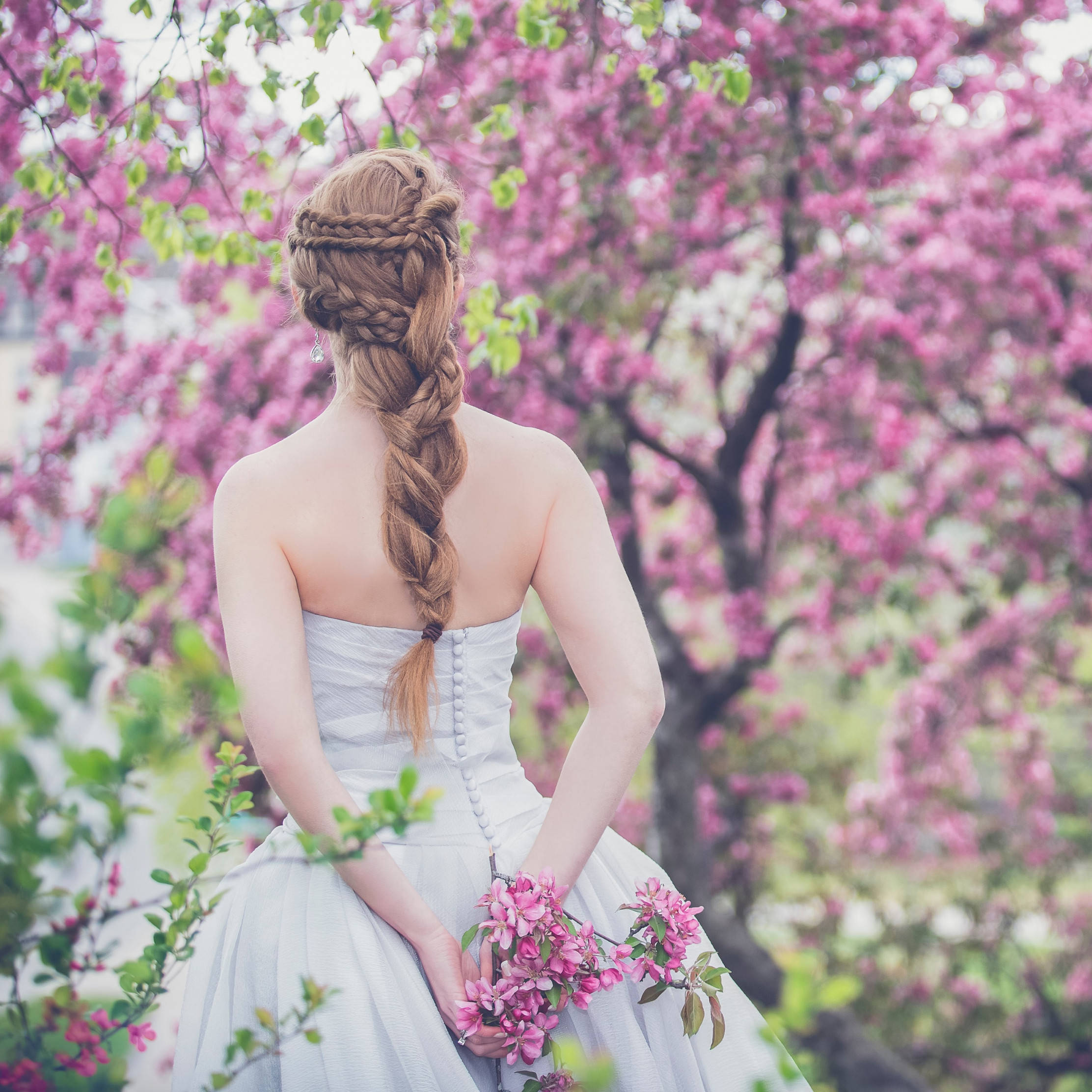 white dress, intricate braided hairstyle, blossoming pink cherry tree, Full HD Desktop Wallpaper