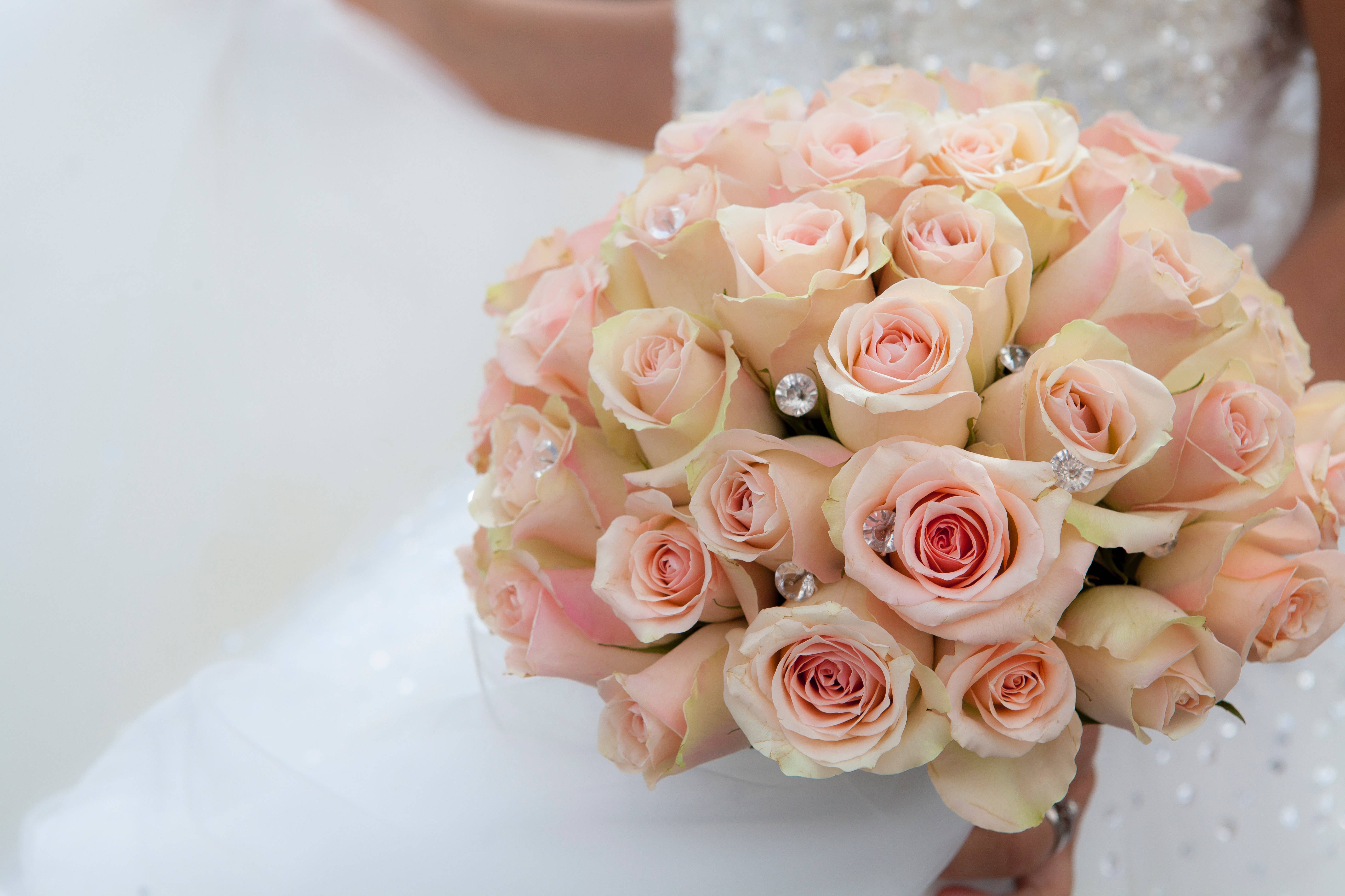 blush pink roses, sparkling diamond-like embellishments, bride, 5K Desktop Wallpaper