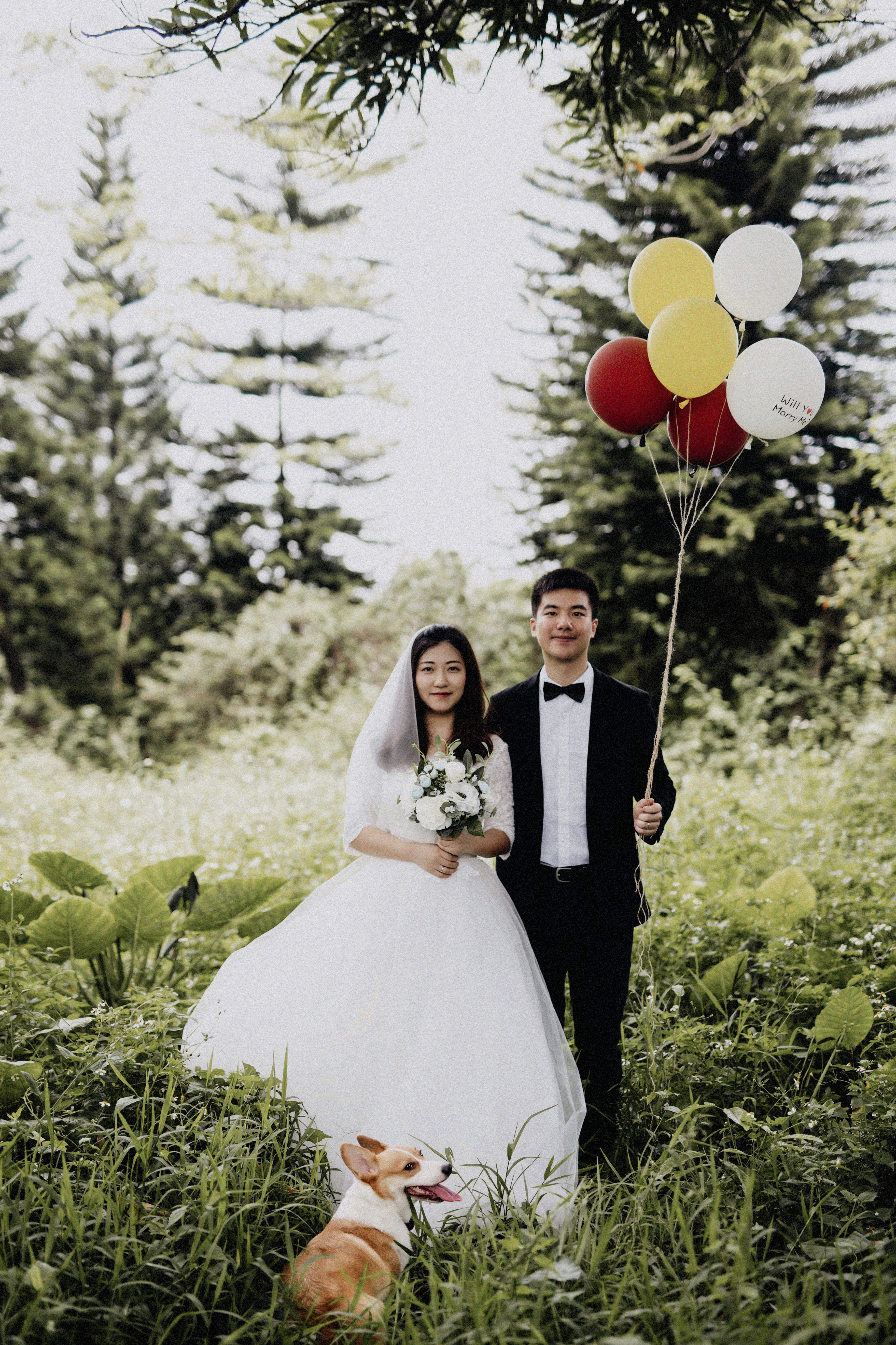 elegant bride, beautiful outdoor setting, sunlit meadow, 5K Phone Wallpaper