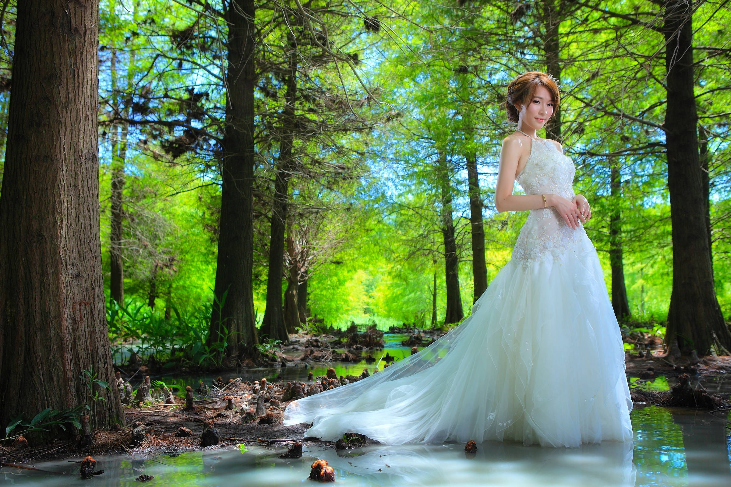 elegant bride, beautiful wedding gown, sunlit swamp, Full HD Desktop Wallpaper
