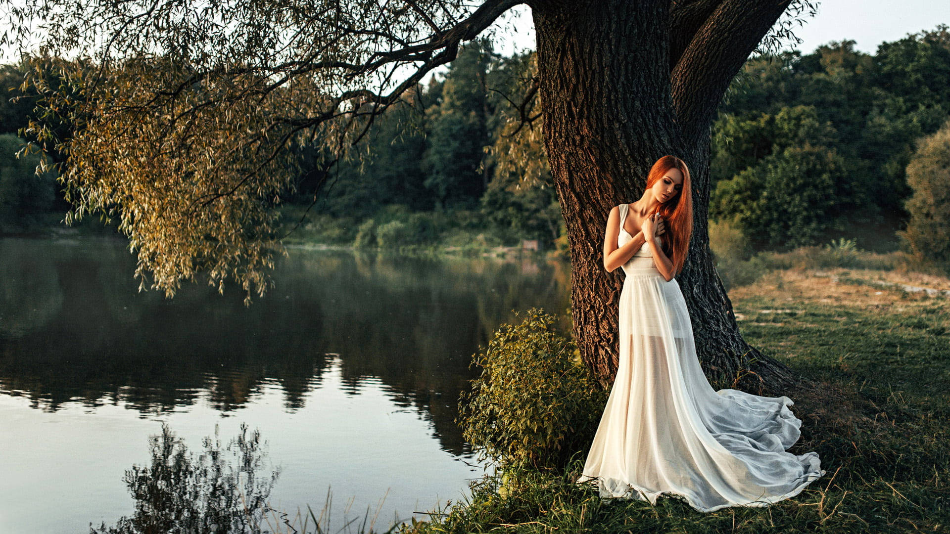 girl bride, white dress, large tree, Full HD Desktop Wallpaper