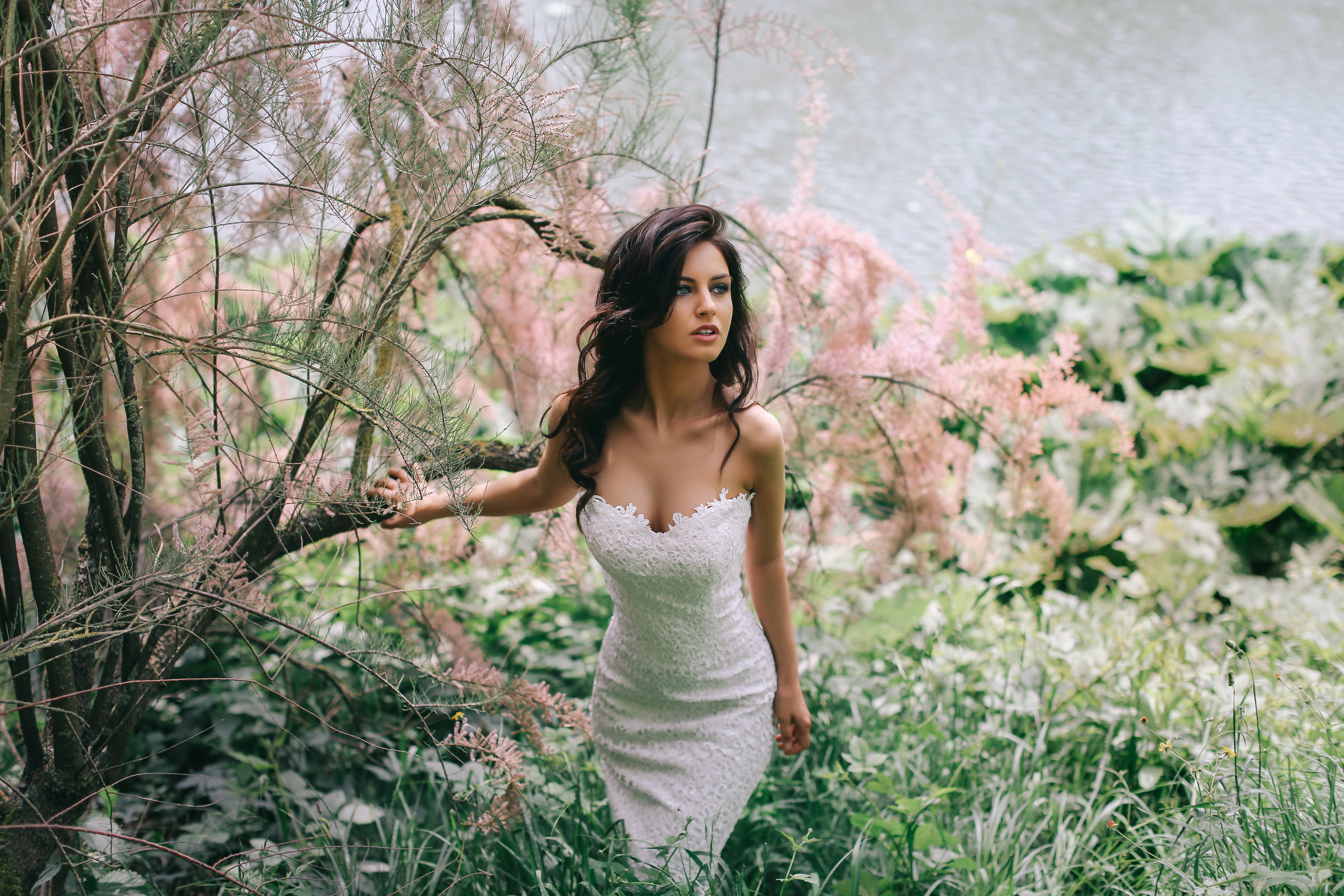 white lace dress, lush greenery, pink flowering bushes, 5K Desktop Wallpaper