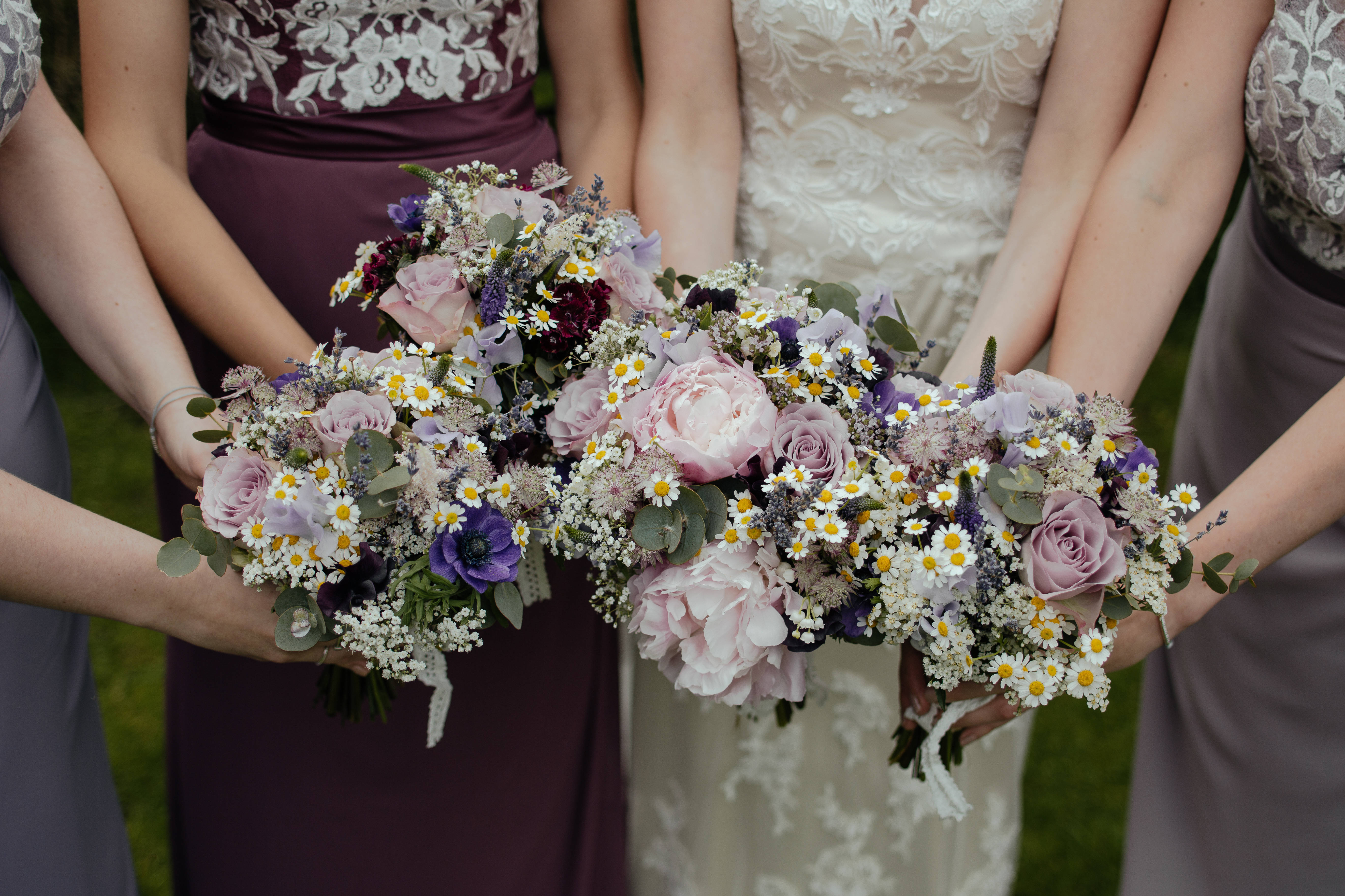 four bridesmaids, pink roses, daisies, 5K Desktop Wallpaper
