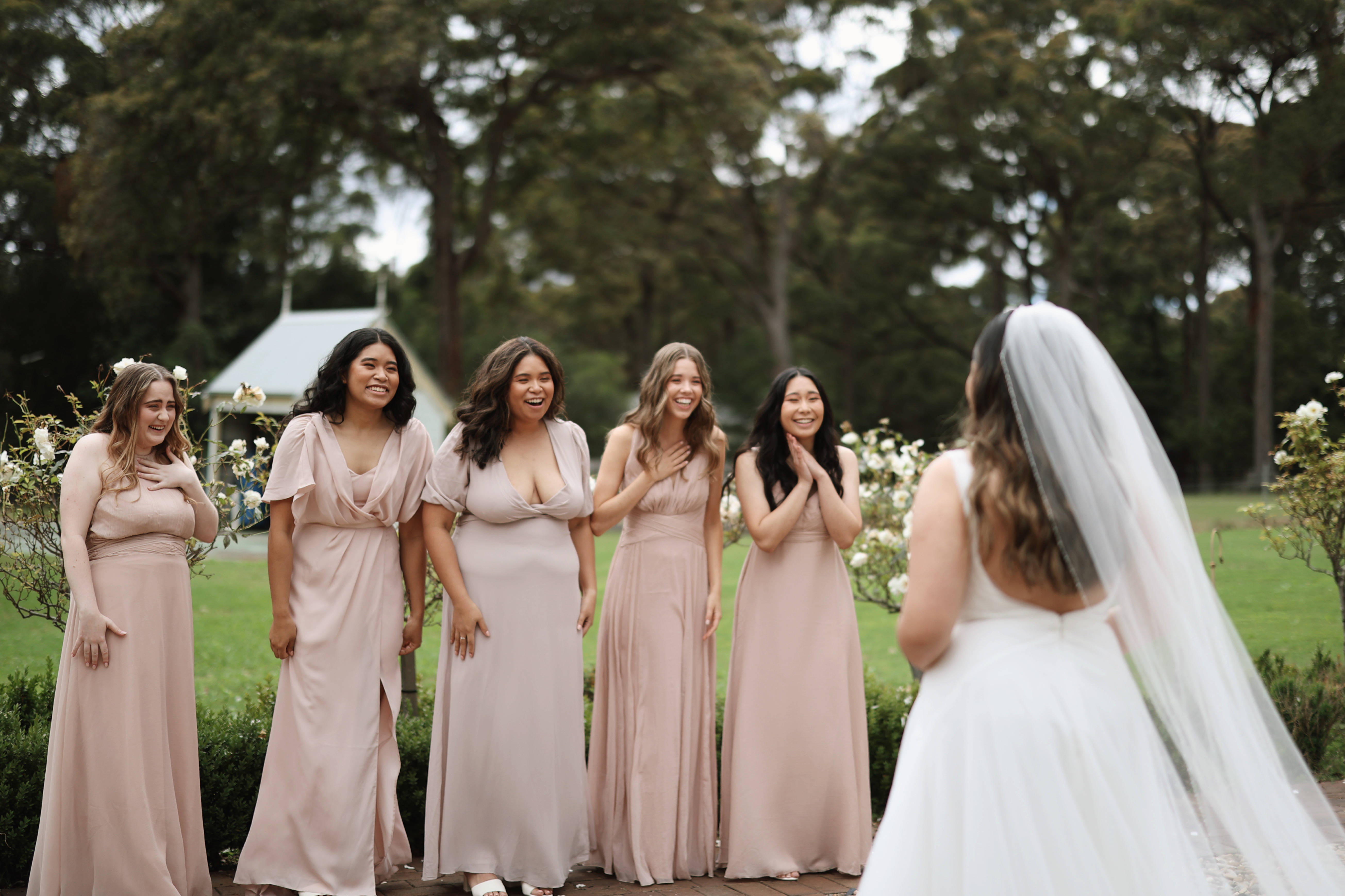 Bridesmaids, bride, blush gowns, 5K Desktop Wallpaper
