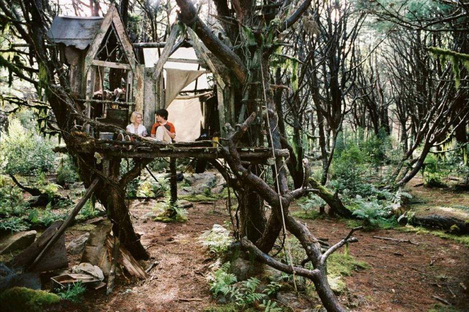 Bridge To Terabithia, tree house, rustic treehouse platform, SD Desktop Wallpaper
